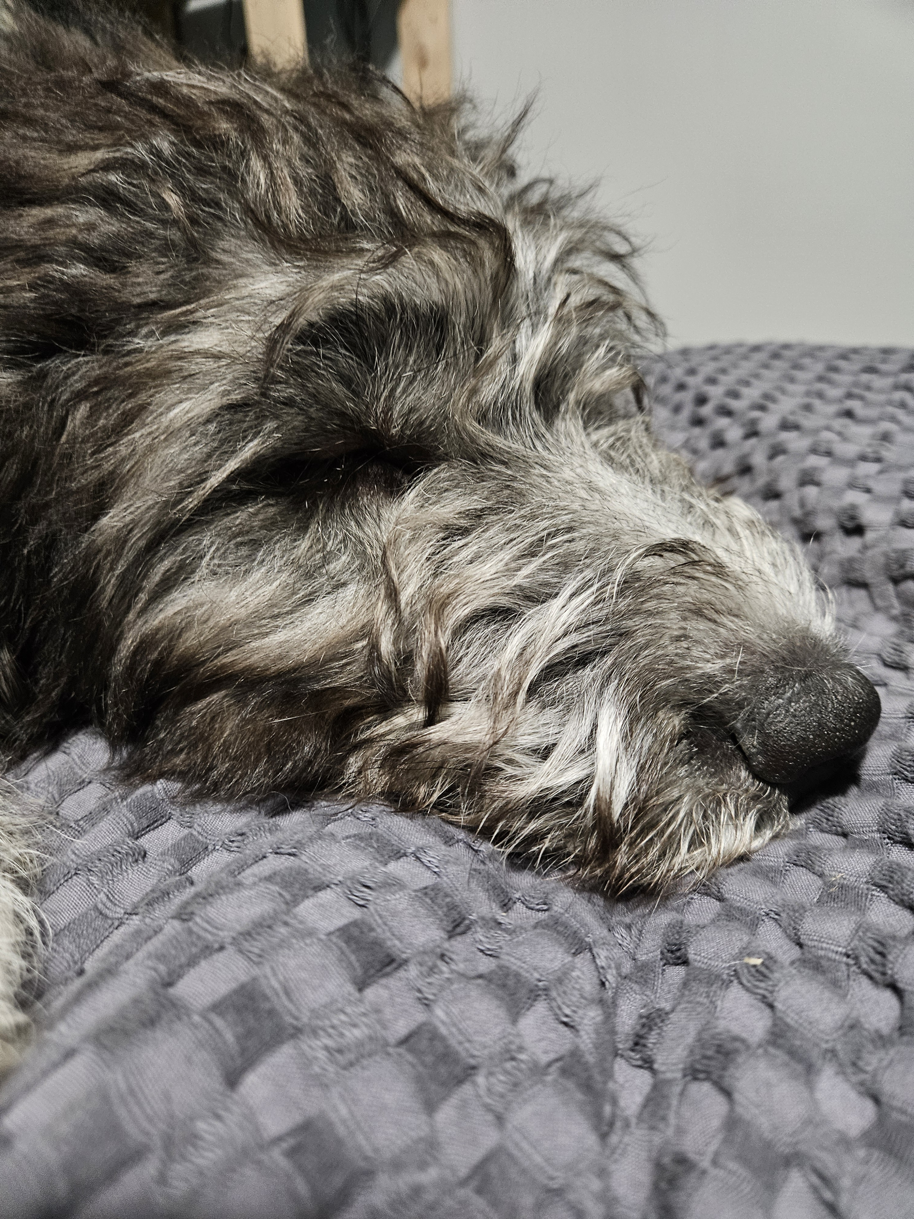 user avatar image for ocinus