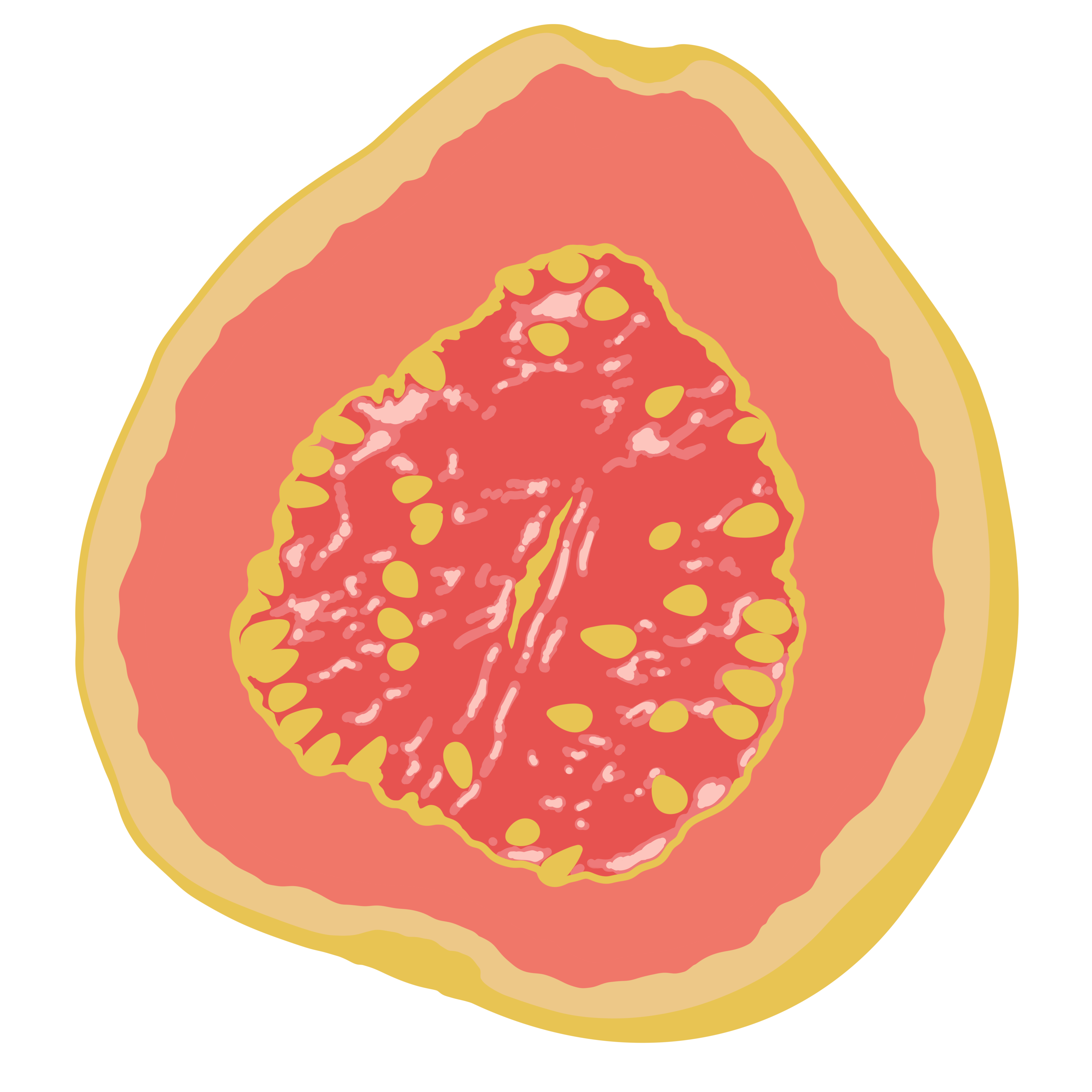 Fruit Salad