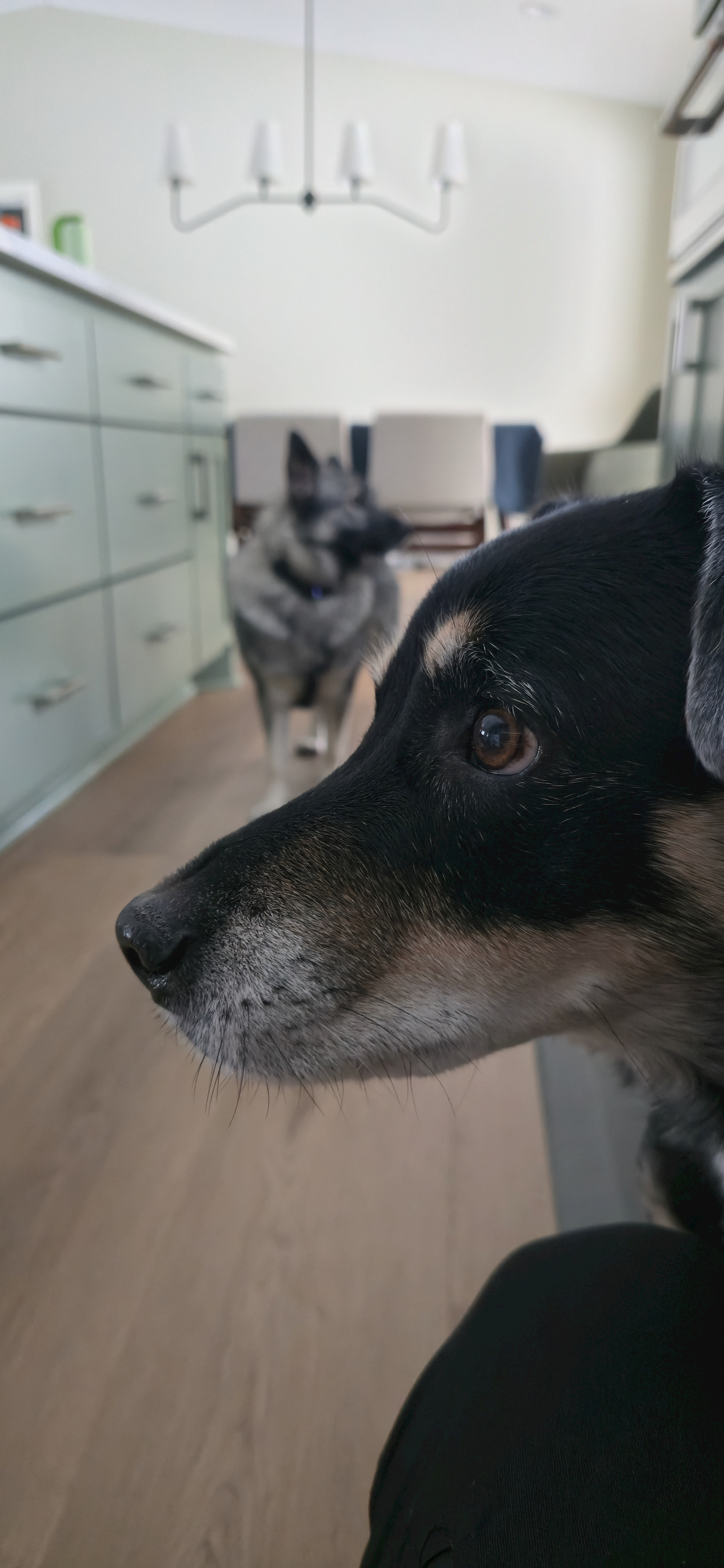 user avatar image for Richard