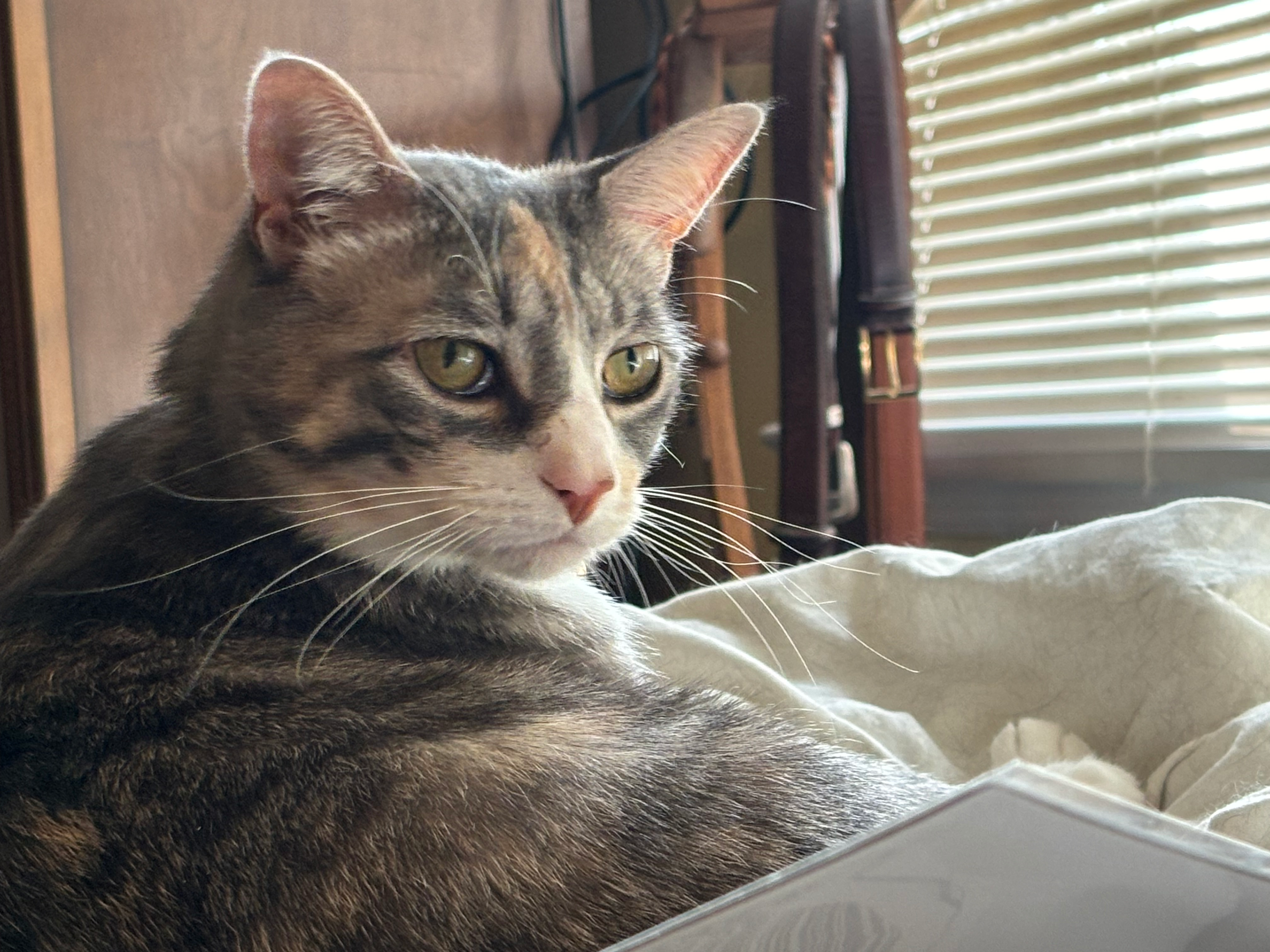 user avatar image for Elizabeth  Lockhart