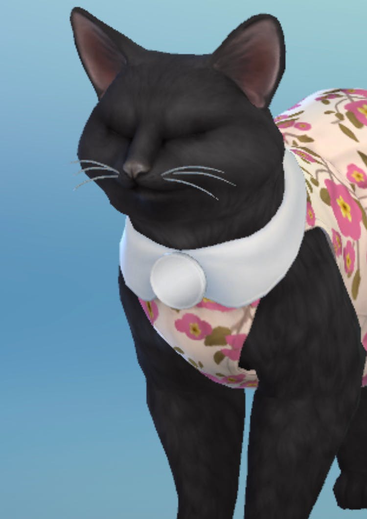 user avatar image for Megtheotter