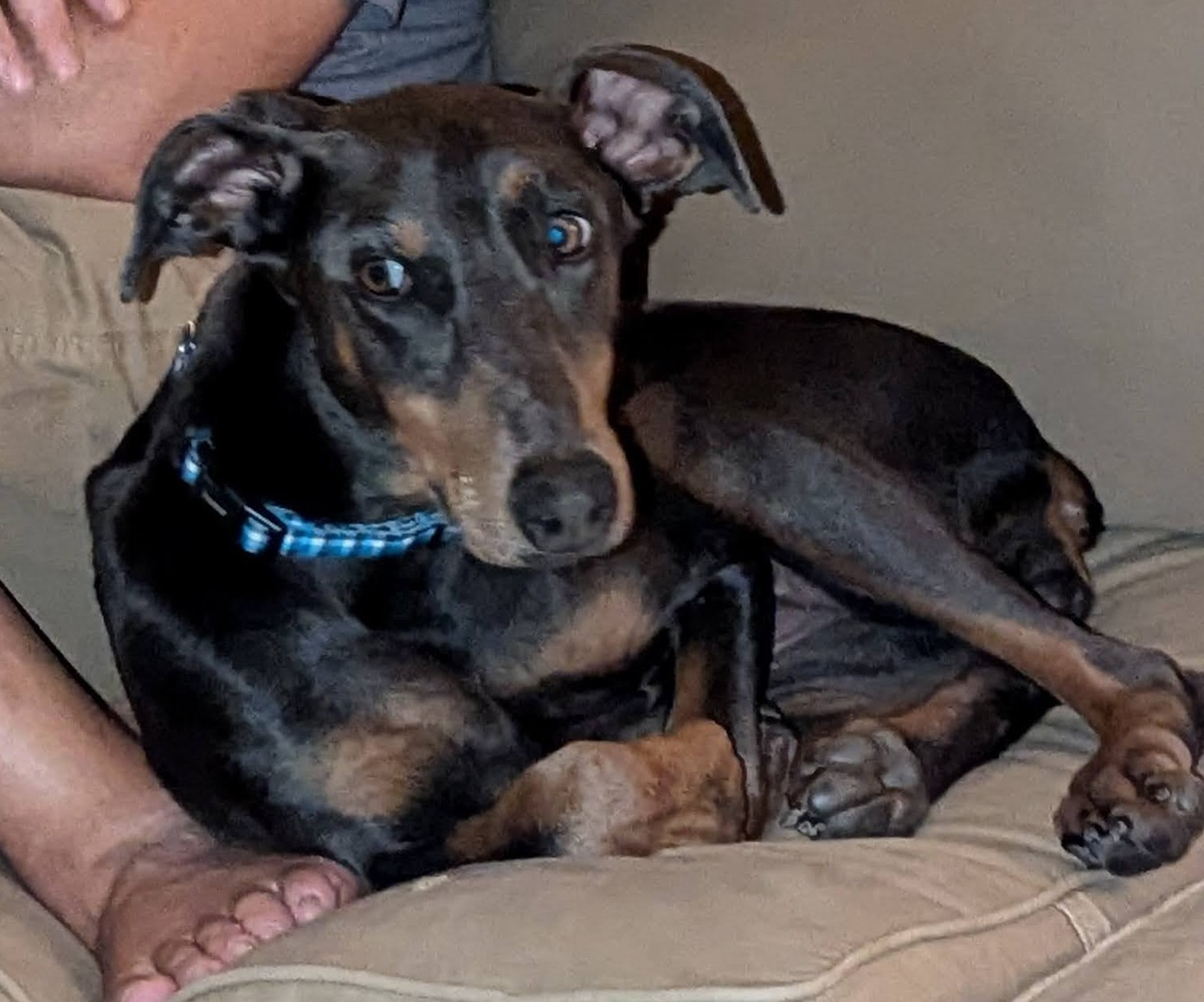 user avatar image for Sean Cunningham 