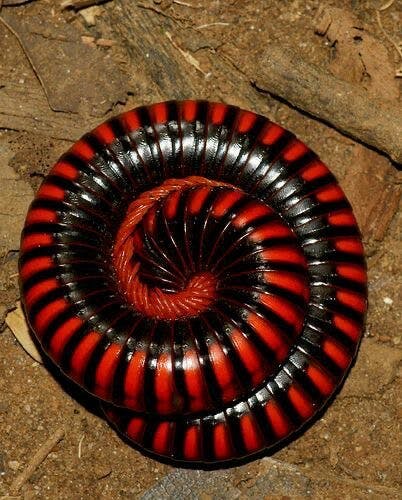 user avatar image for cyn