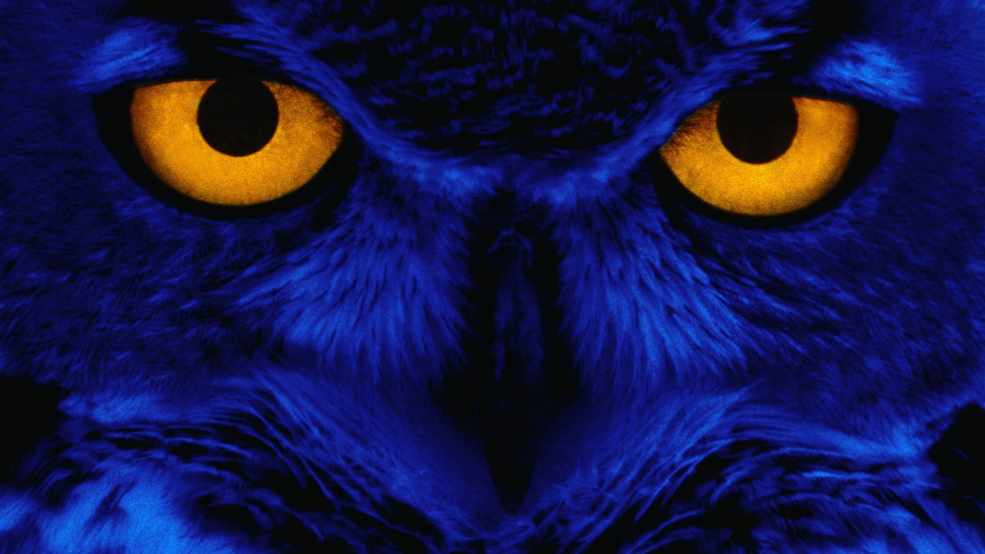 user avatar image for Thomas Townsend
