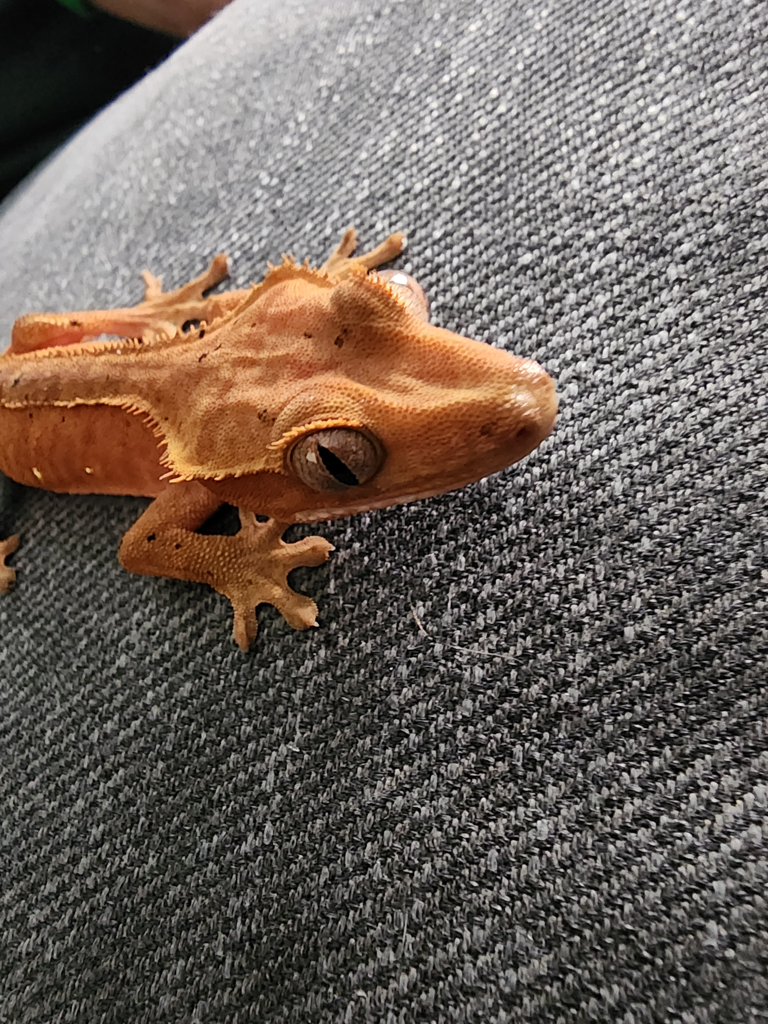 user avatar image for Tina