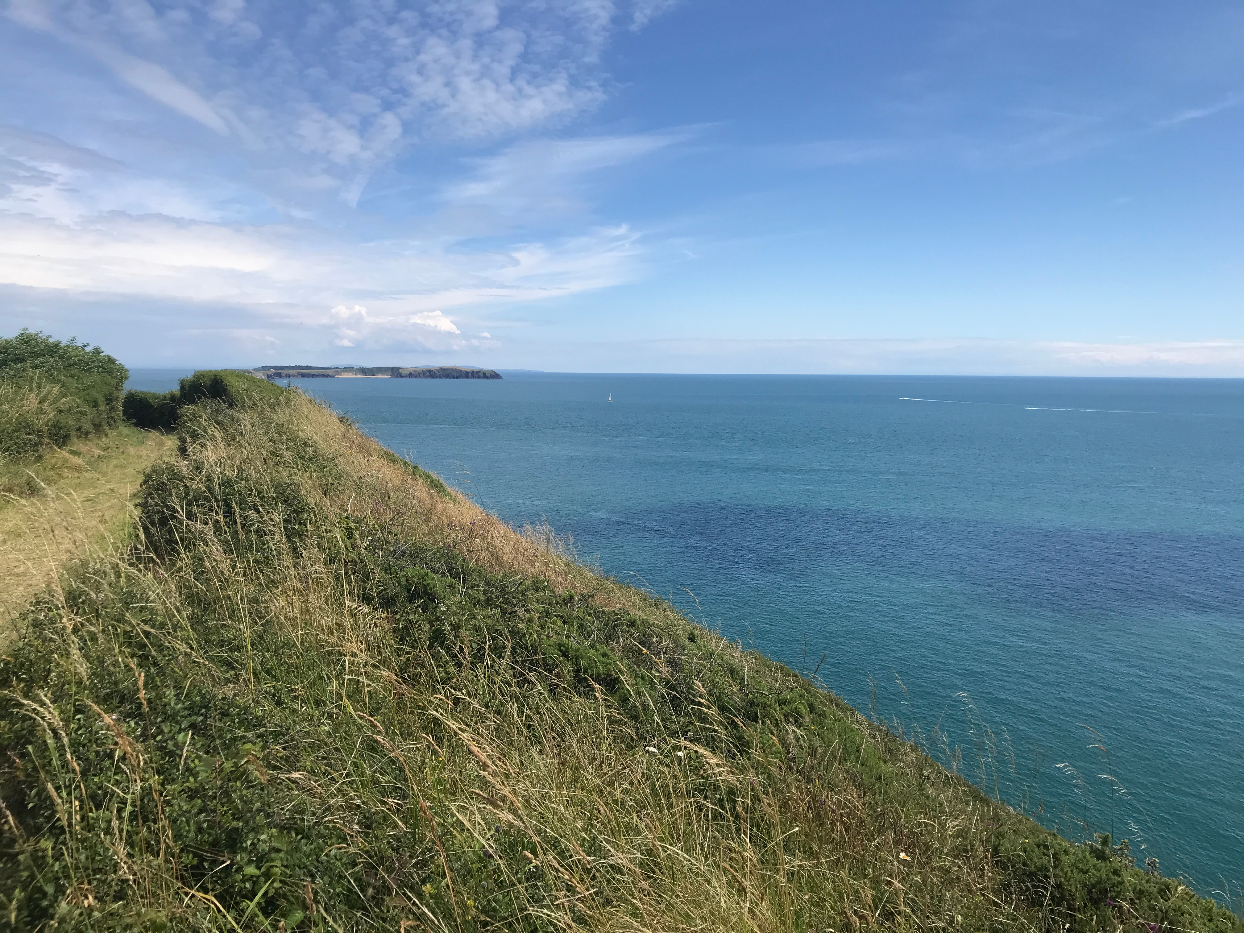 user avatar image for Jay H