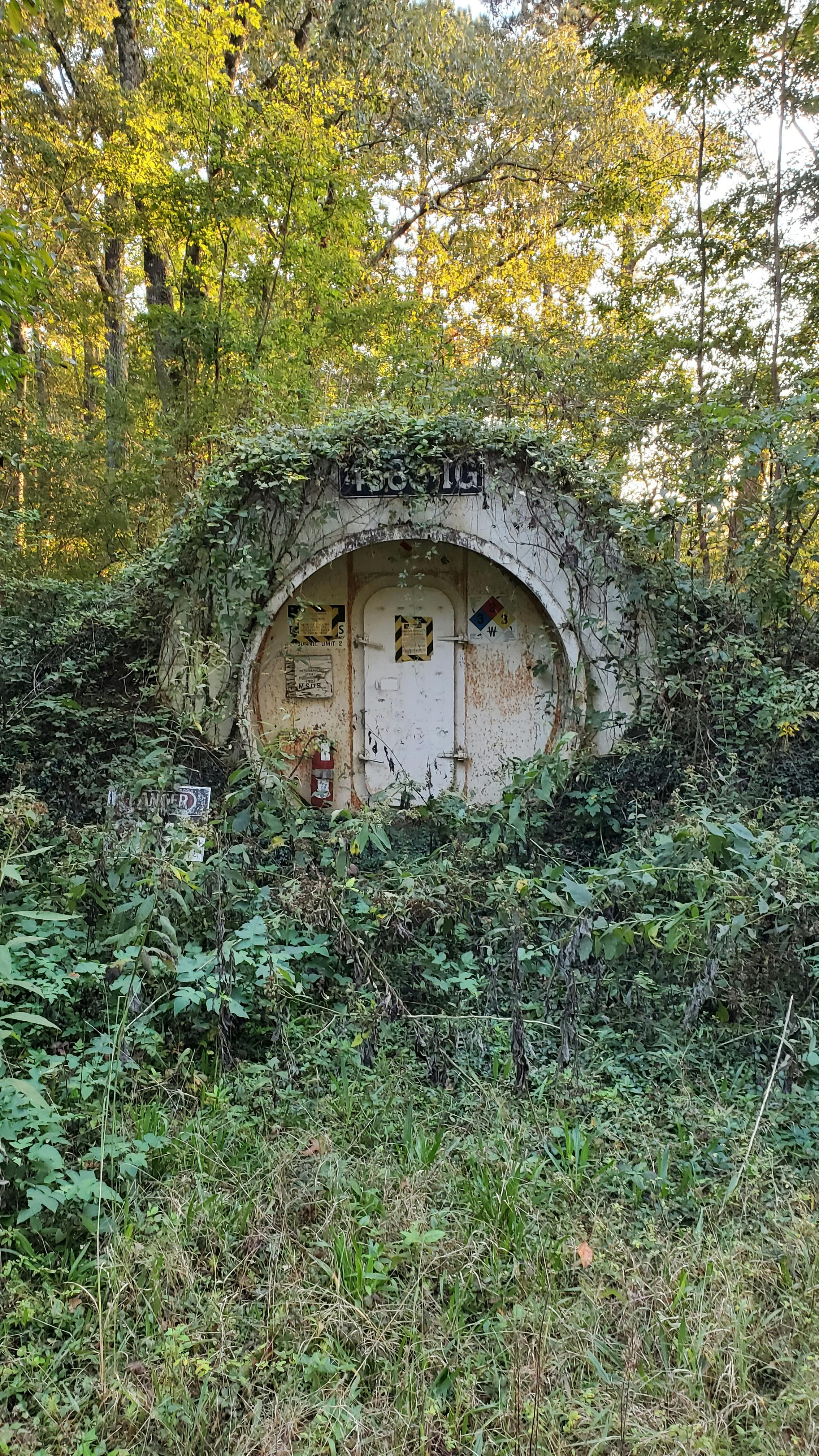 user avatar image for Antonio L.