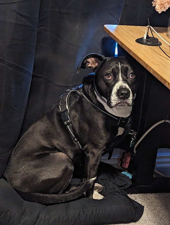 user avatar image for Dillon VanBuskirk