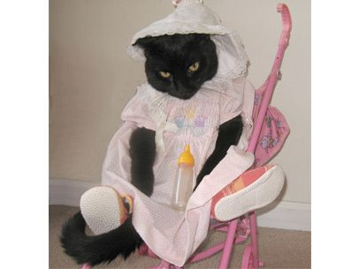 user avatar image for Kari