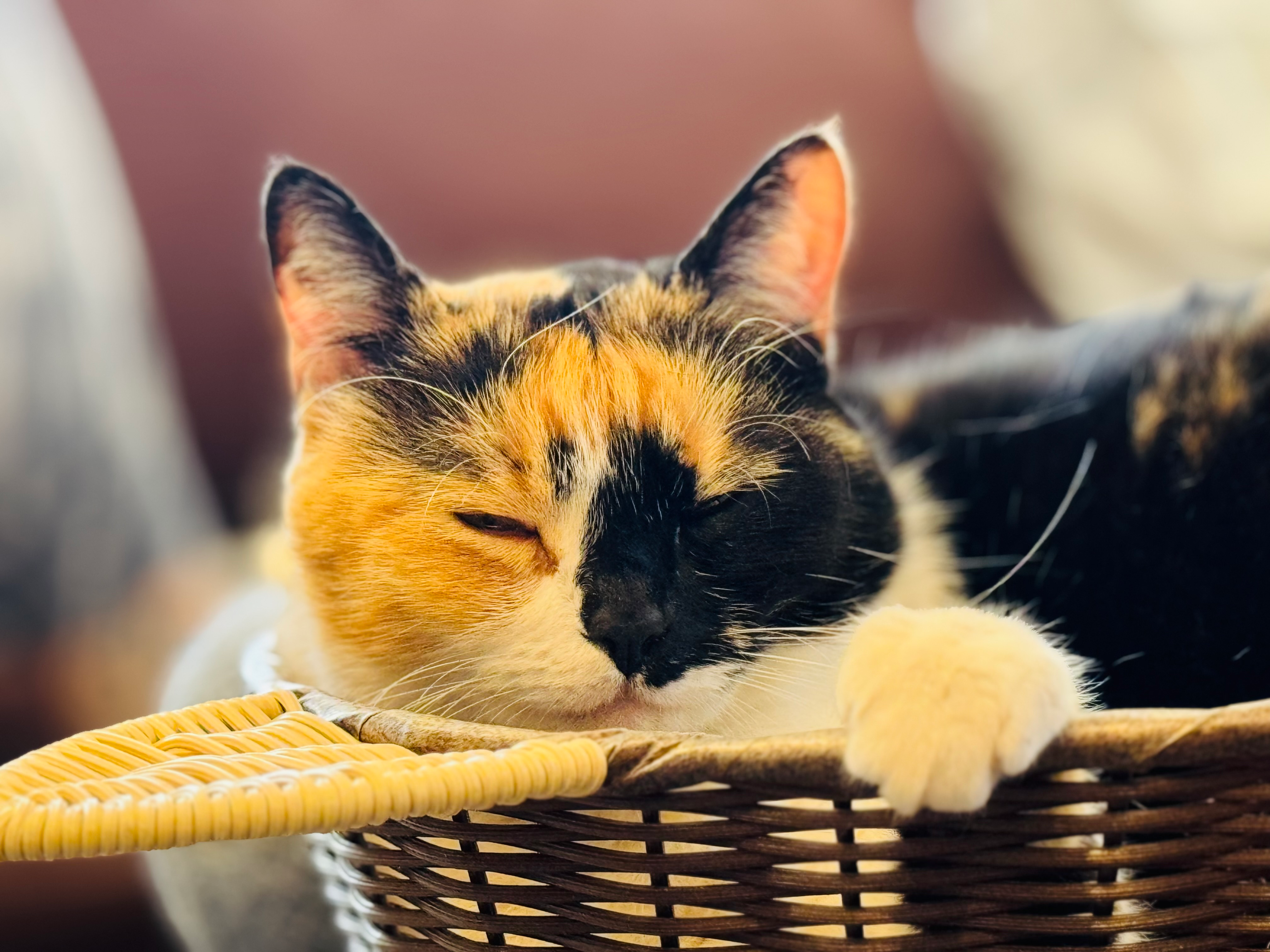 user avatar image for brandon bradford