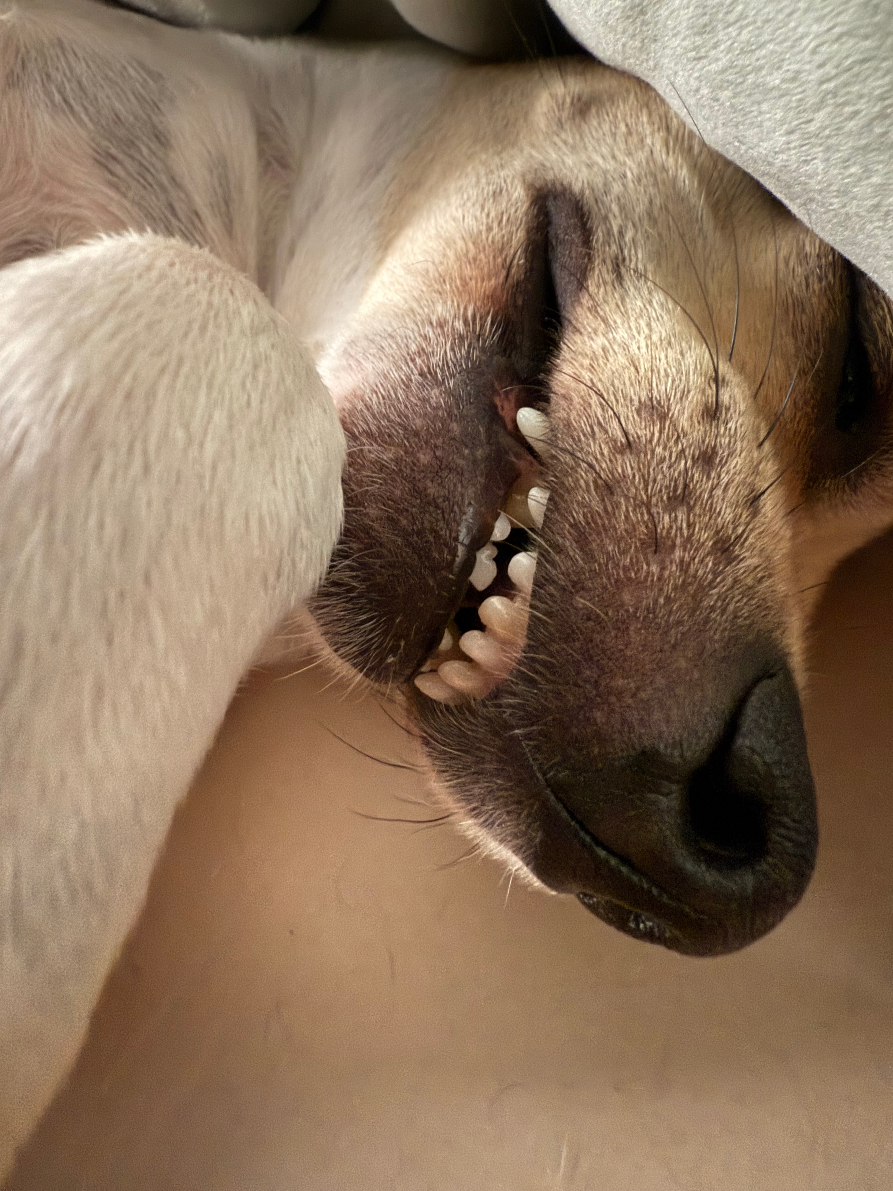 user avatar image for Jackie