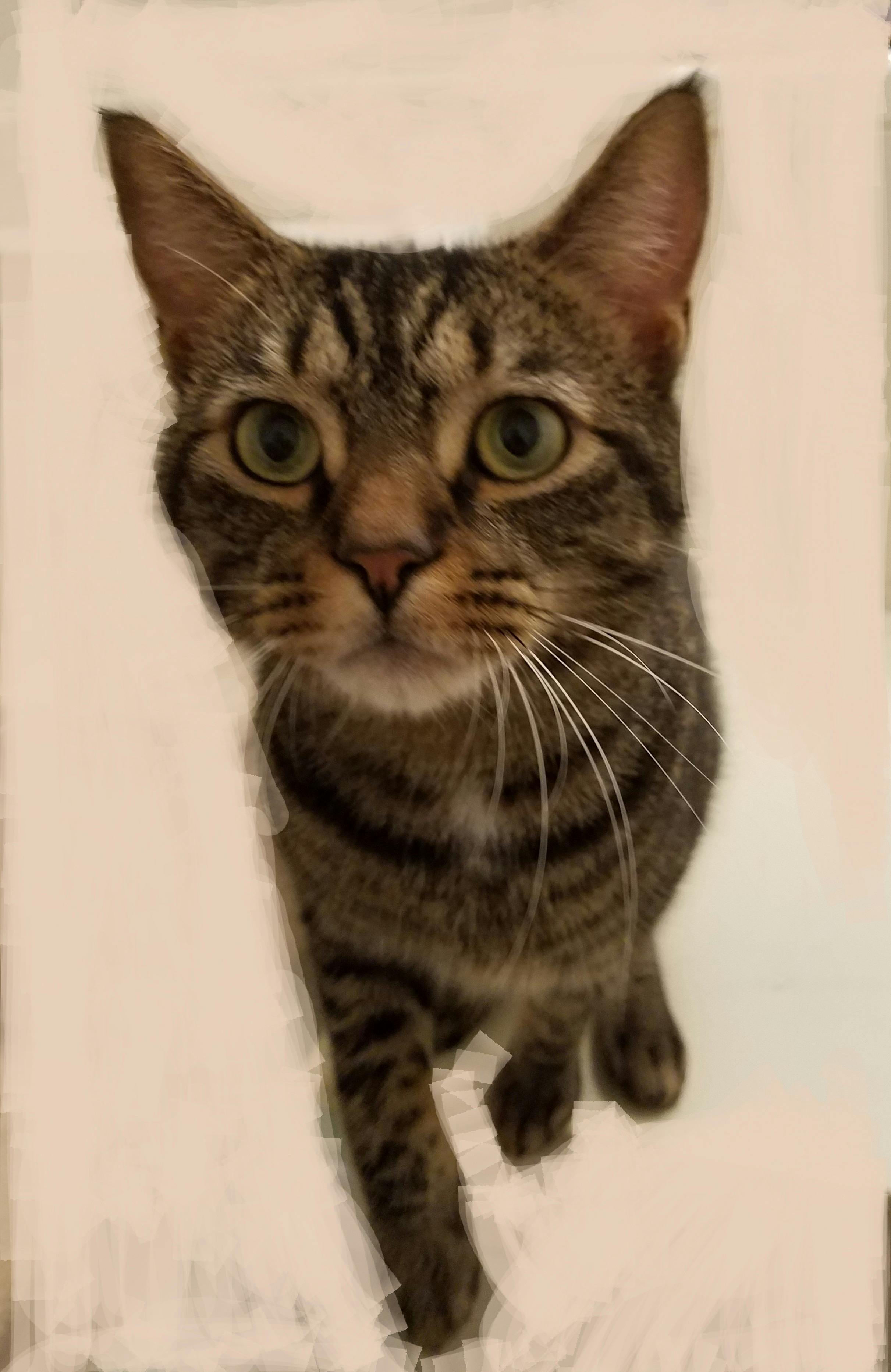 user avatar image for Patricia Blackwell