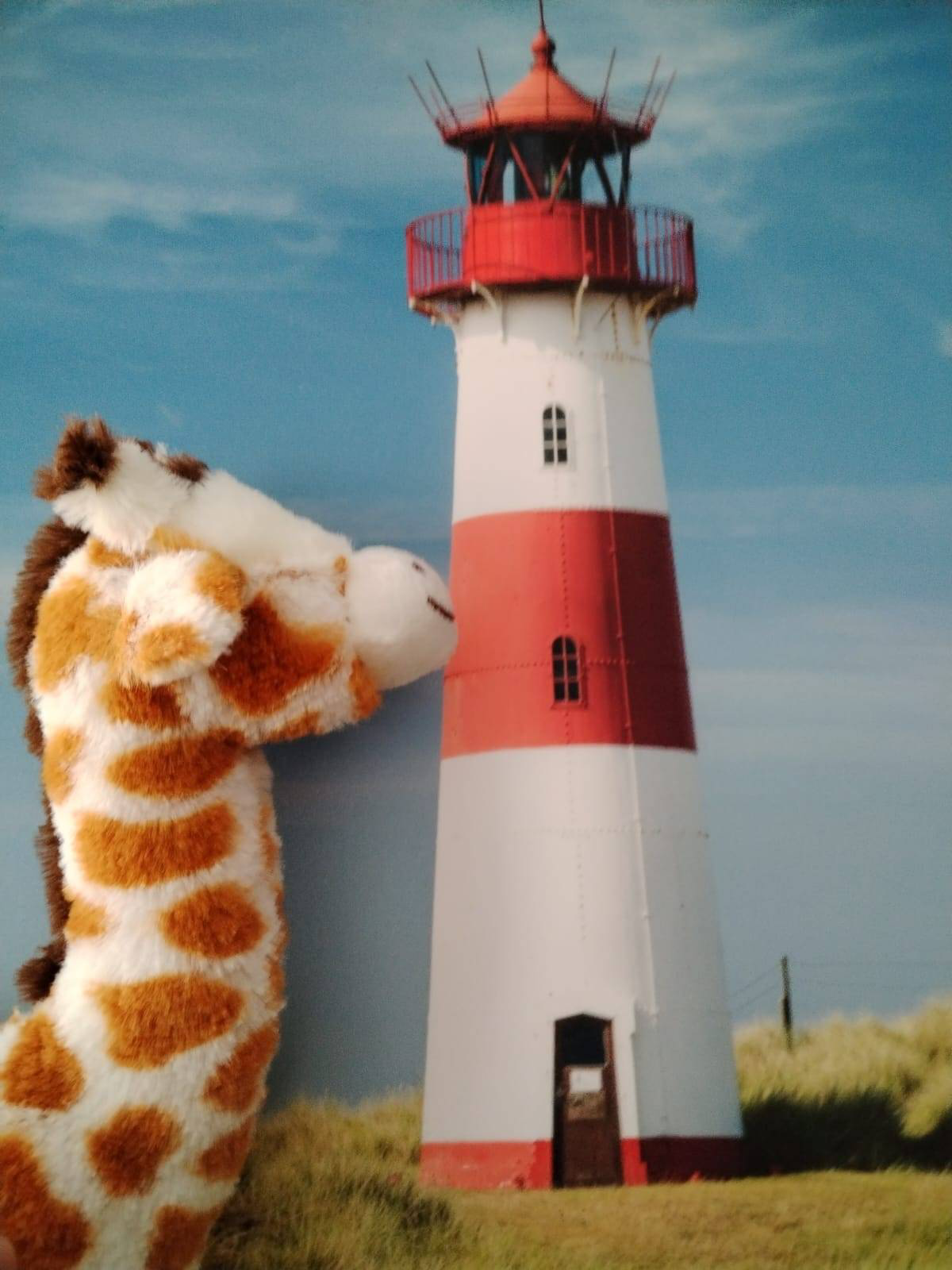 user avatar image for Karina