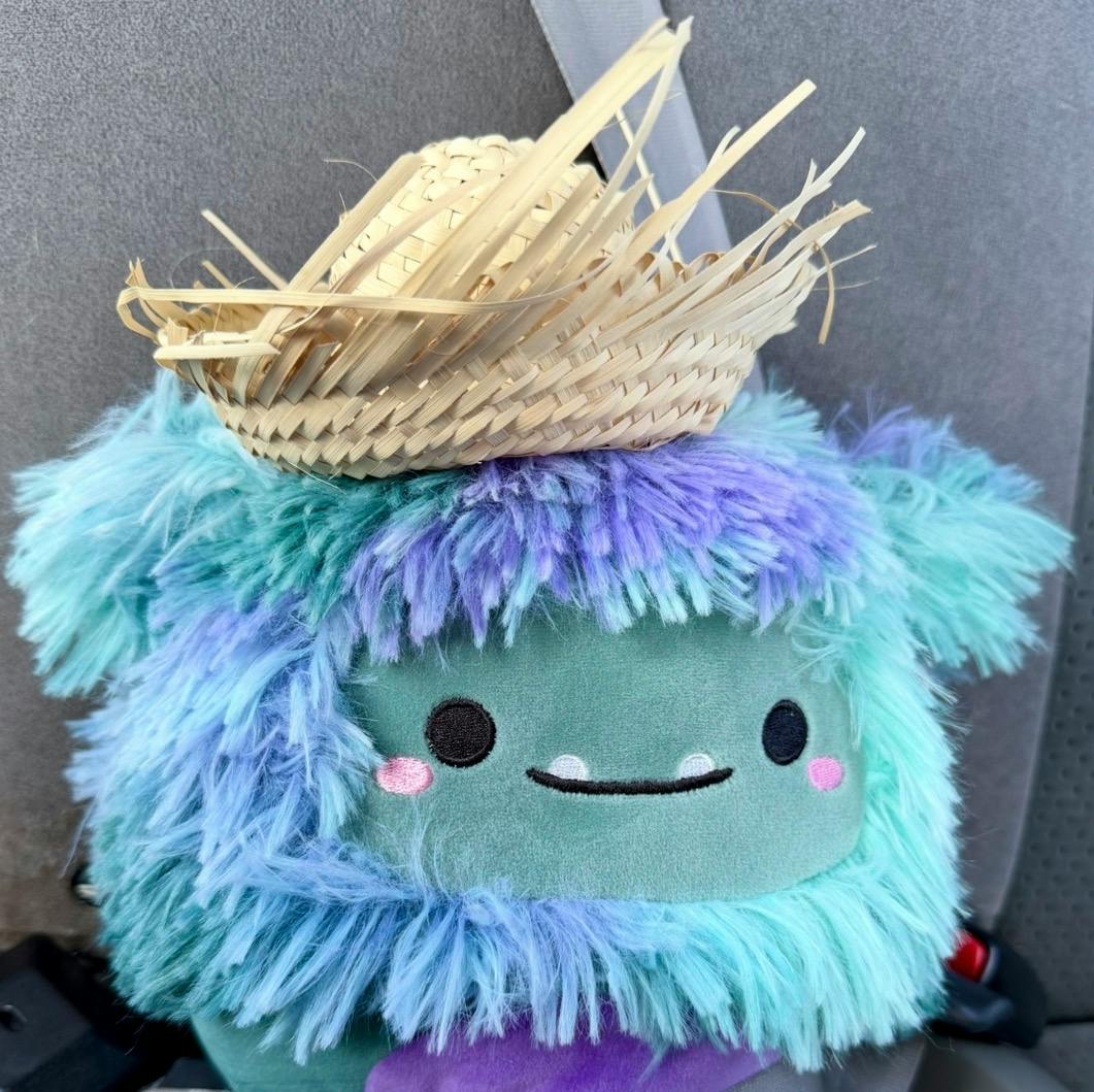 user avatar image for Ari