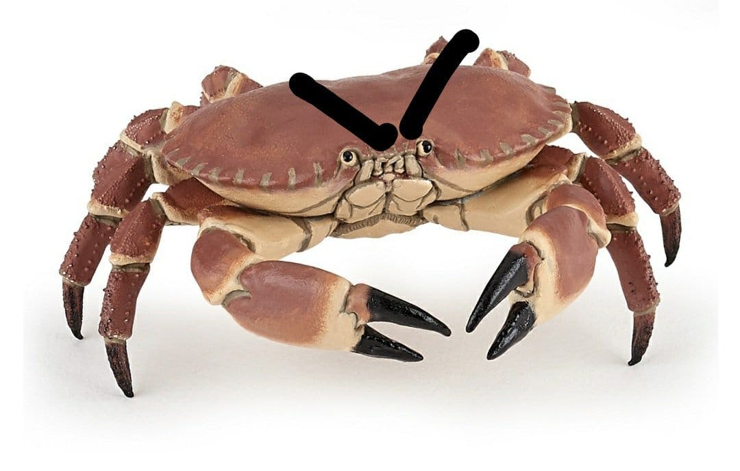 user avatar image for Yoshira