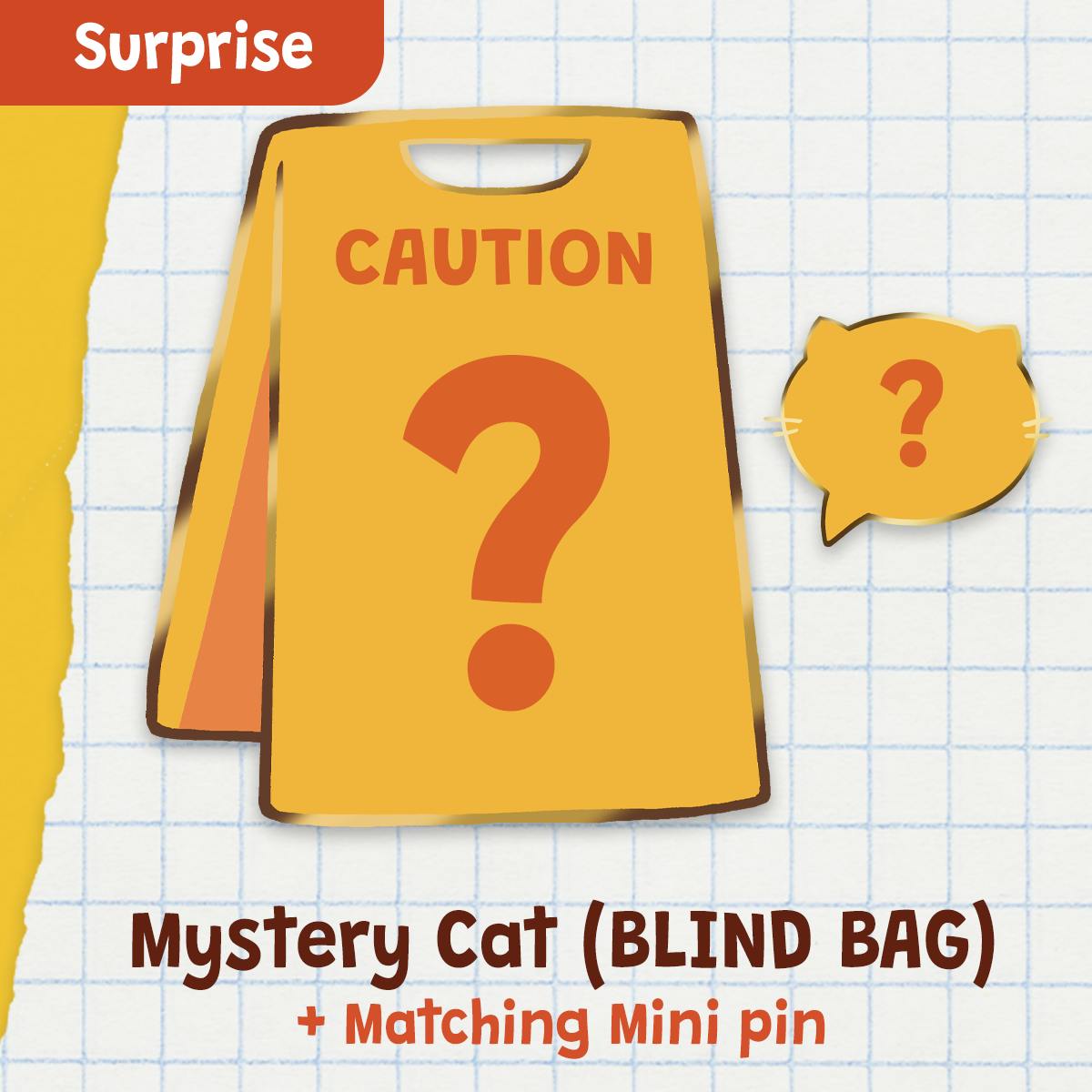Mystery Cat (BLIND BAG)