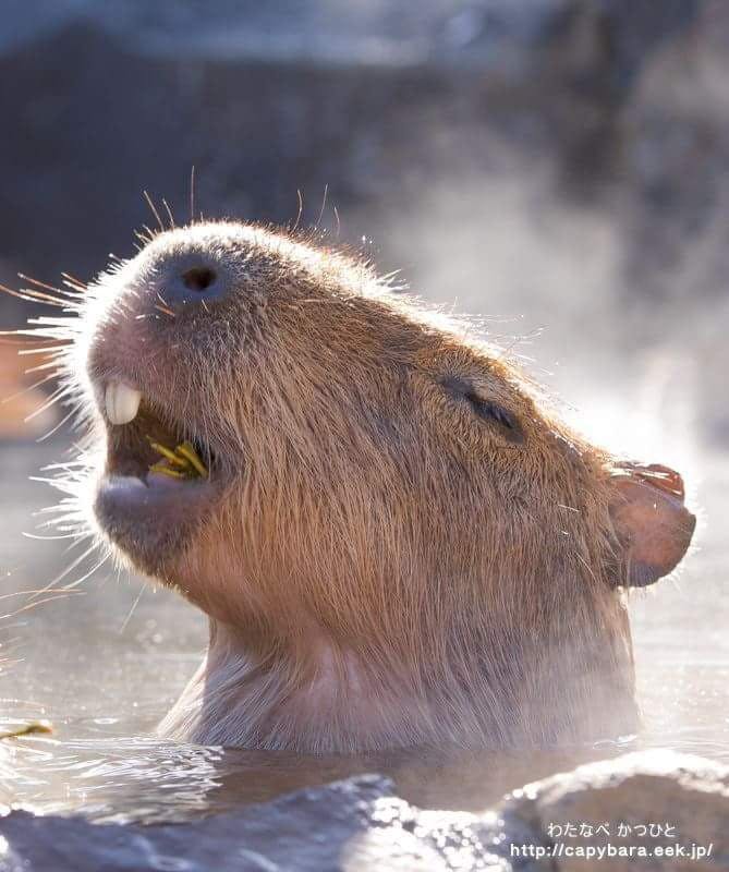 user avatar image for Karl Benson