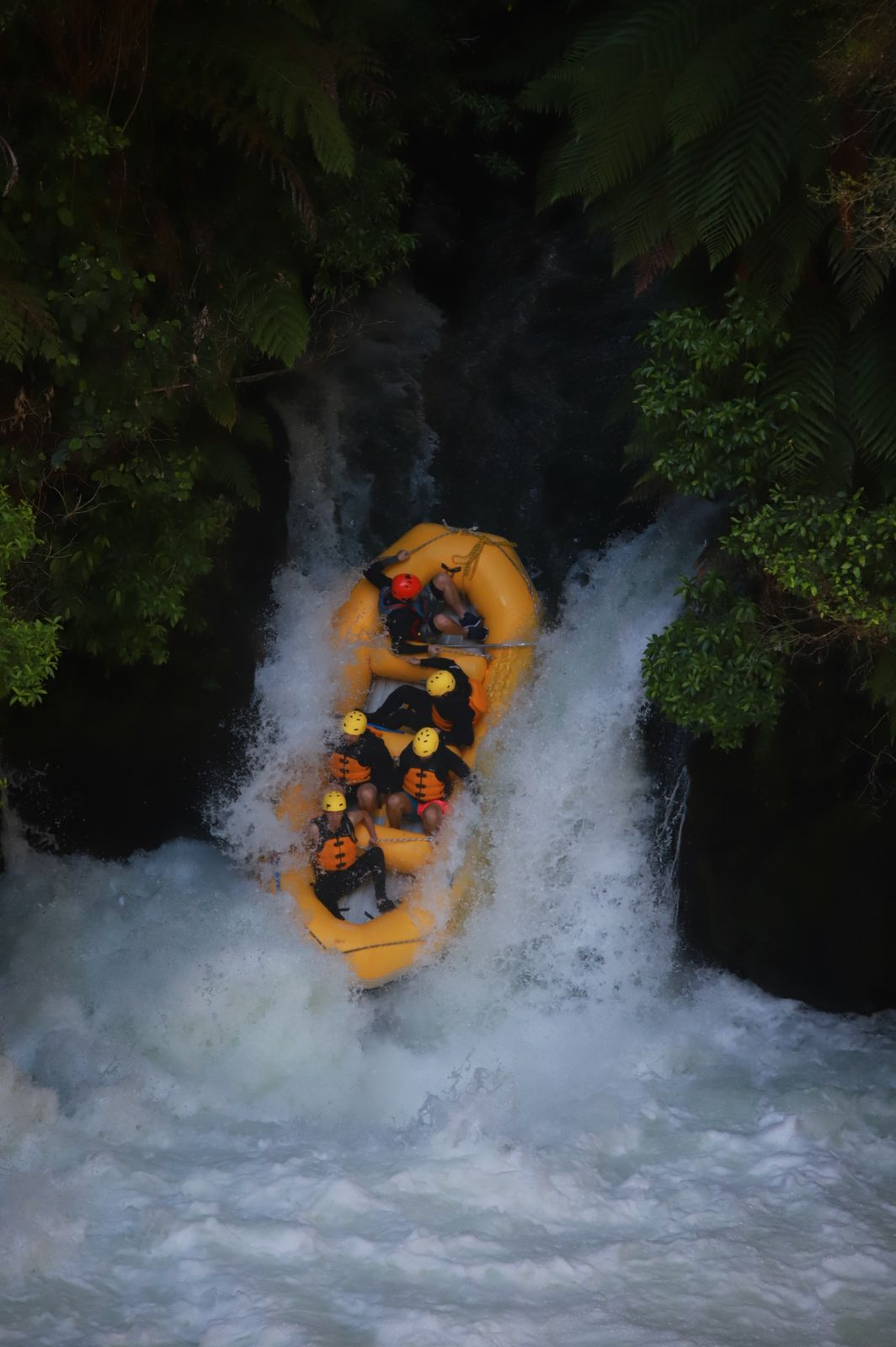 user avatar image for Waterdamelon 