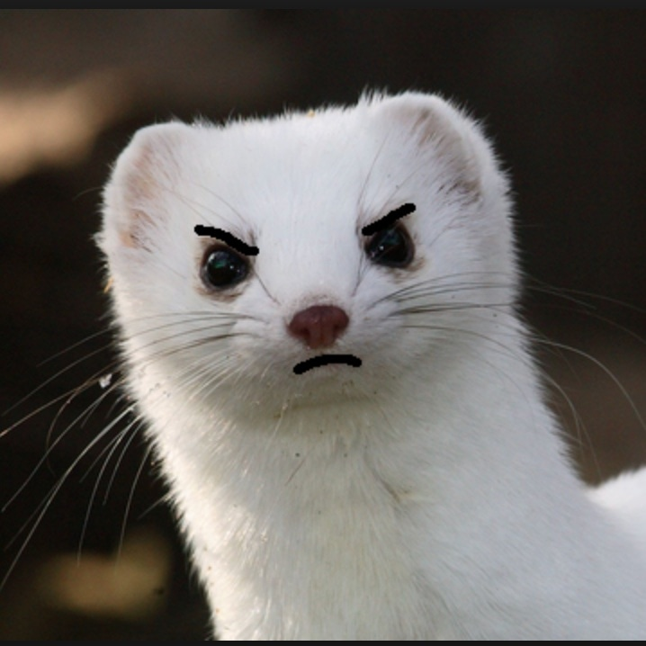 user avatar image for Alyx