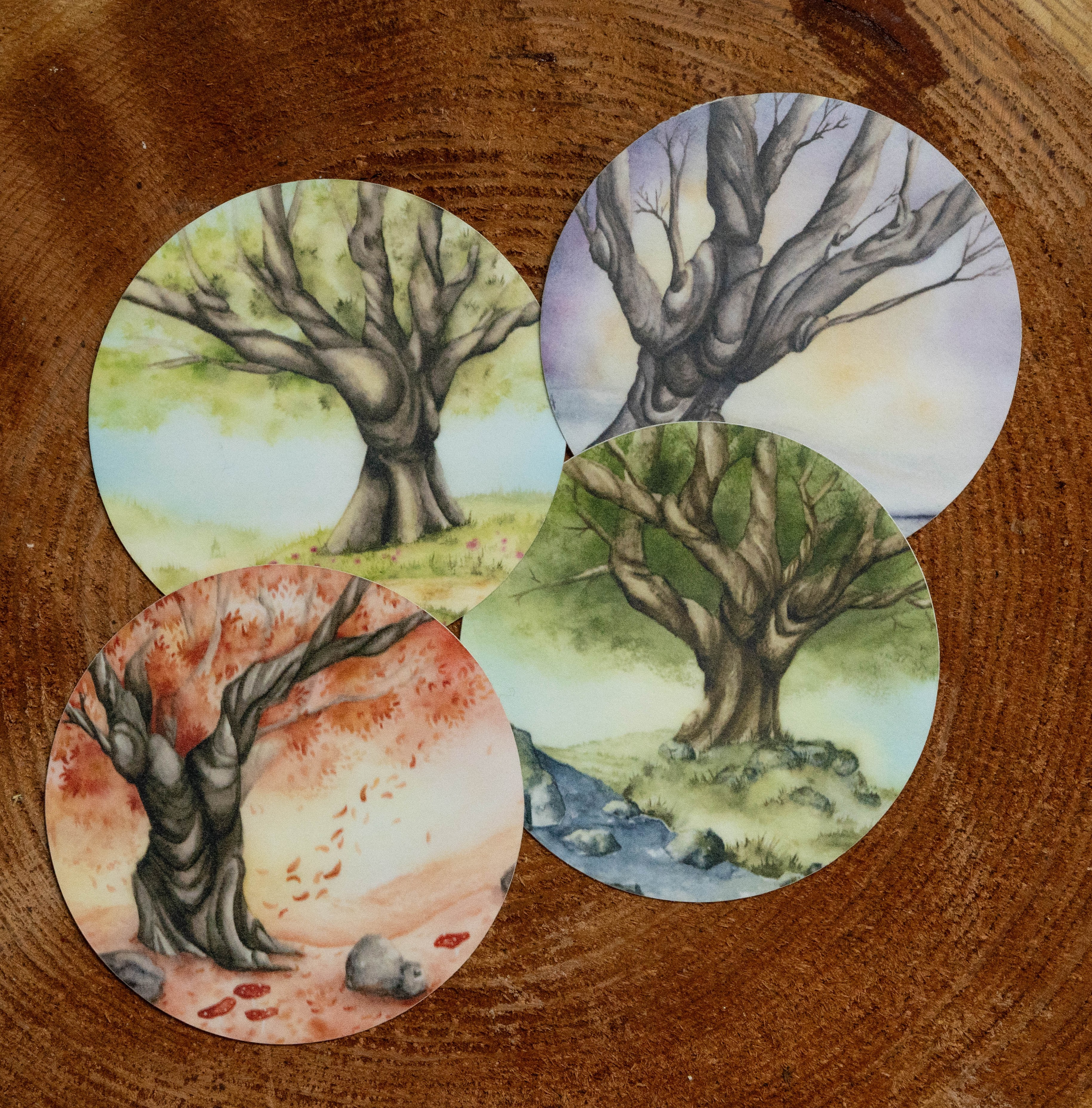 Vinyl Sticker: Seasons set