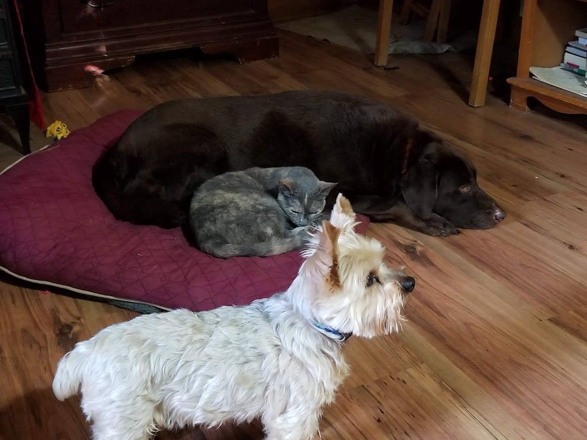 user avatar image for Susan E. Wilson