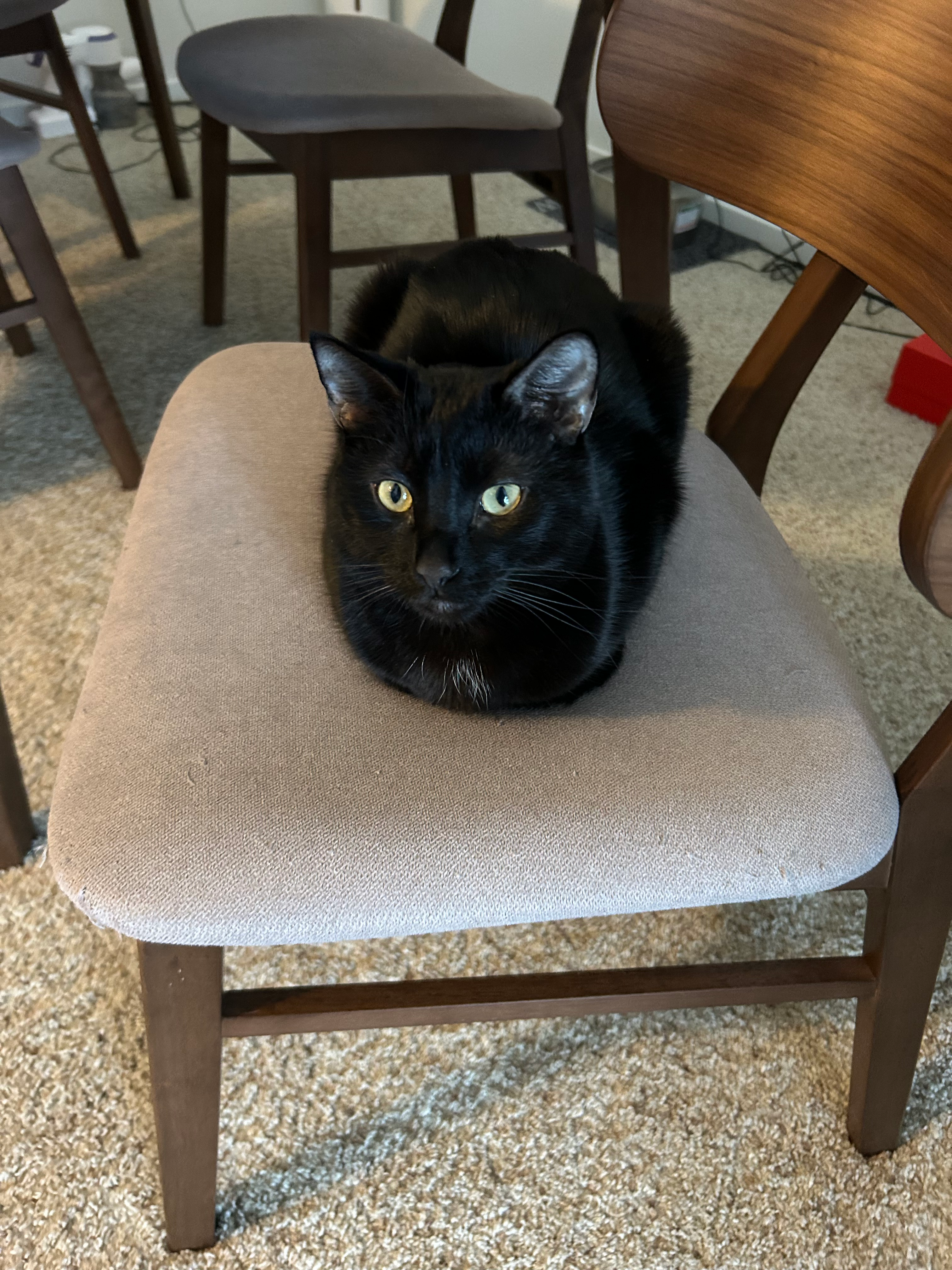 user avatar image for Emily