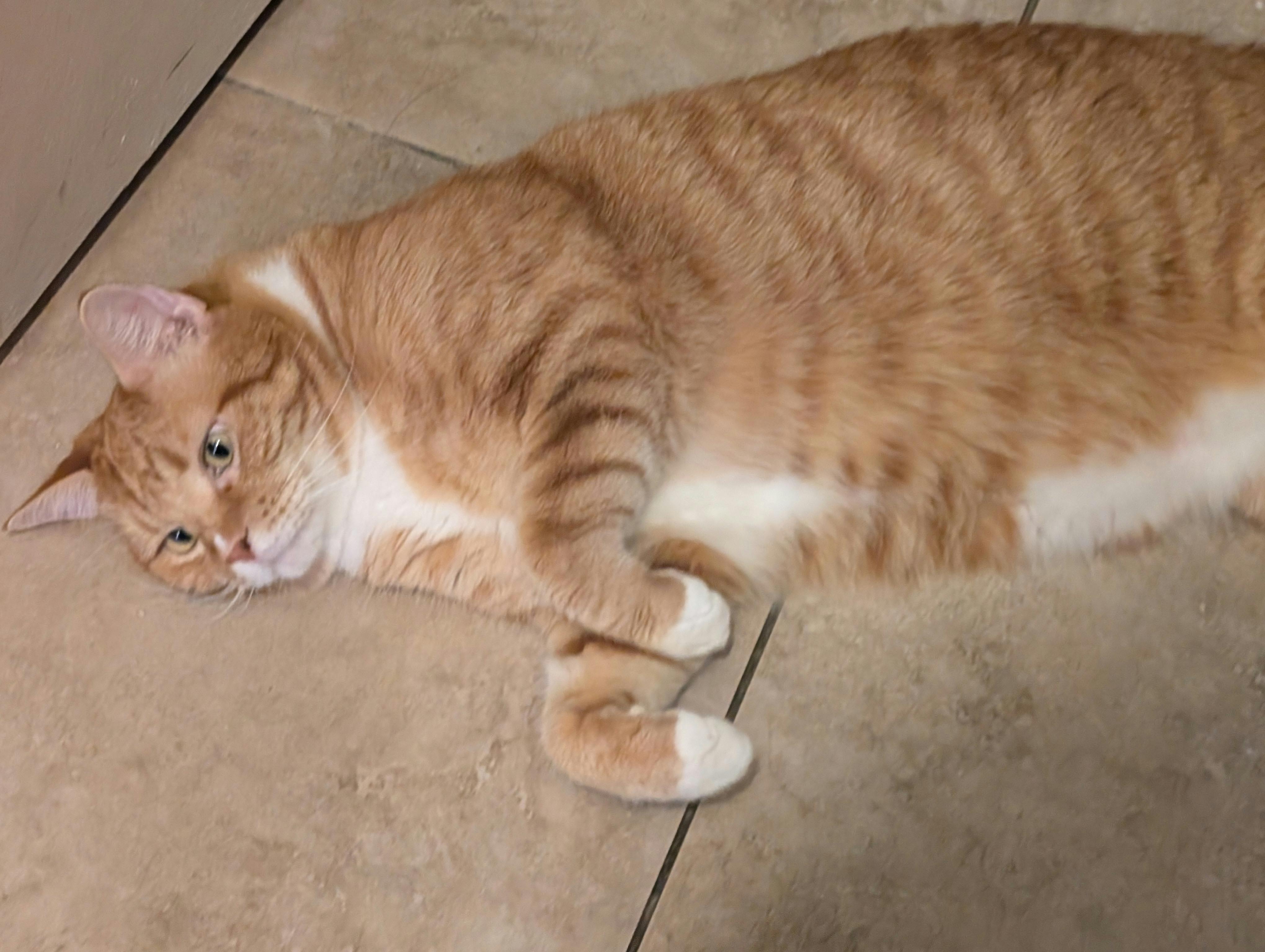 user avatar image for dksgkdud119