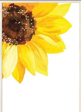 user avatar image for BK