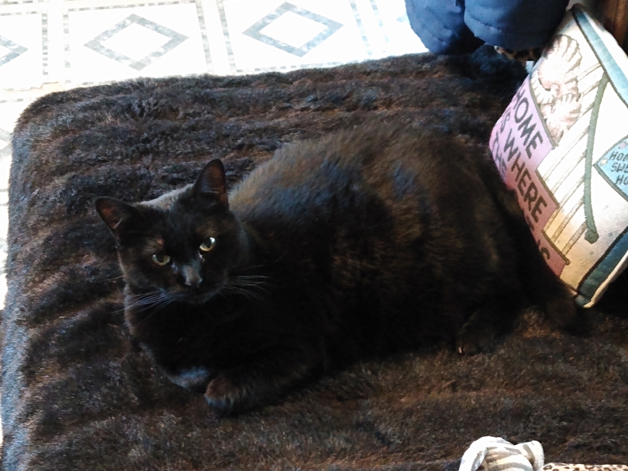 user avatar image for Emily Jane Grey