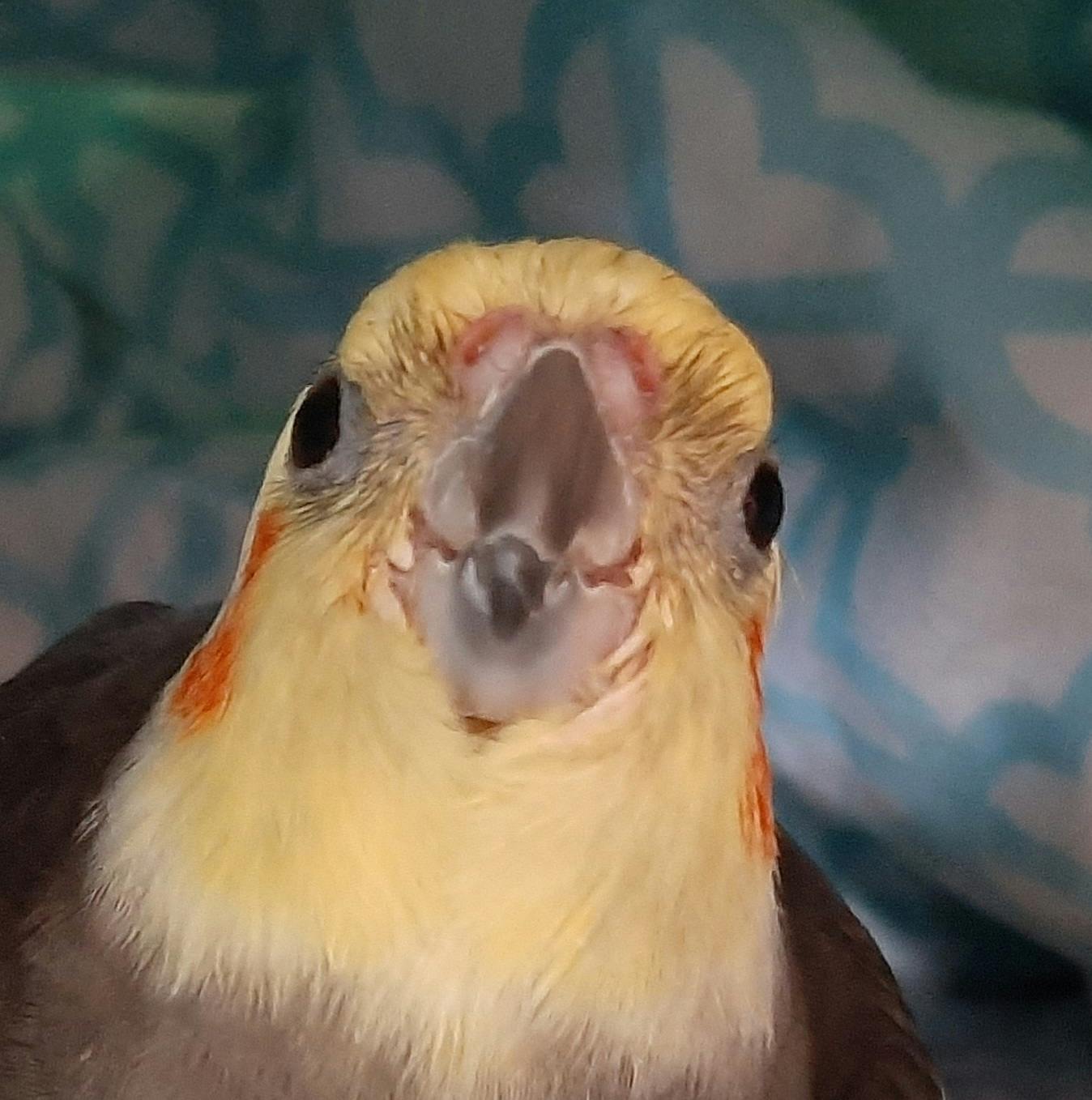 user avatar image for staus