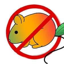 user avatar image for Serelle Jadzia