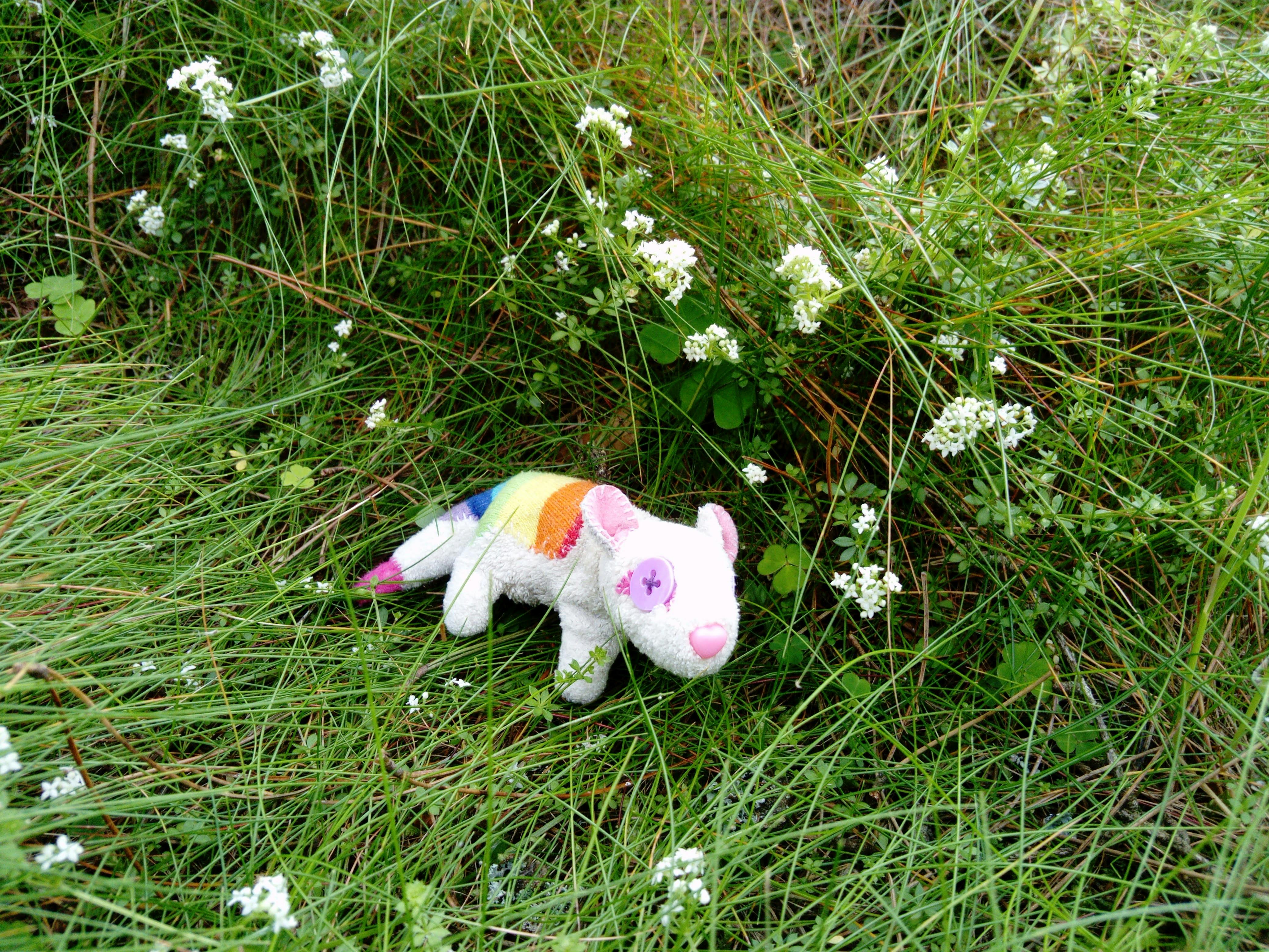 user avatar image for Thylacereal