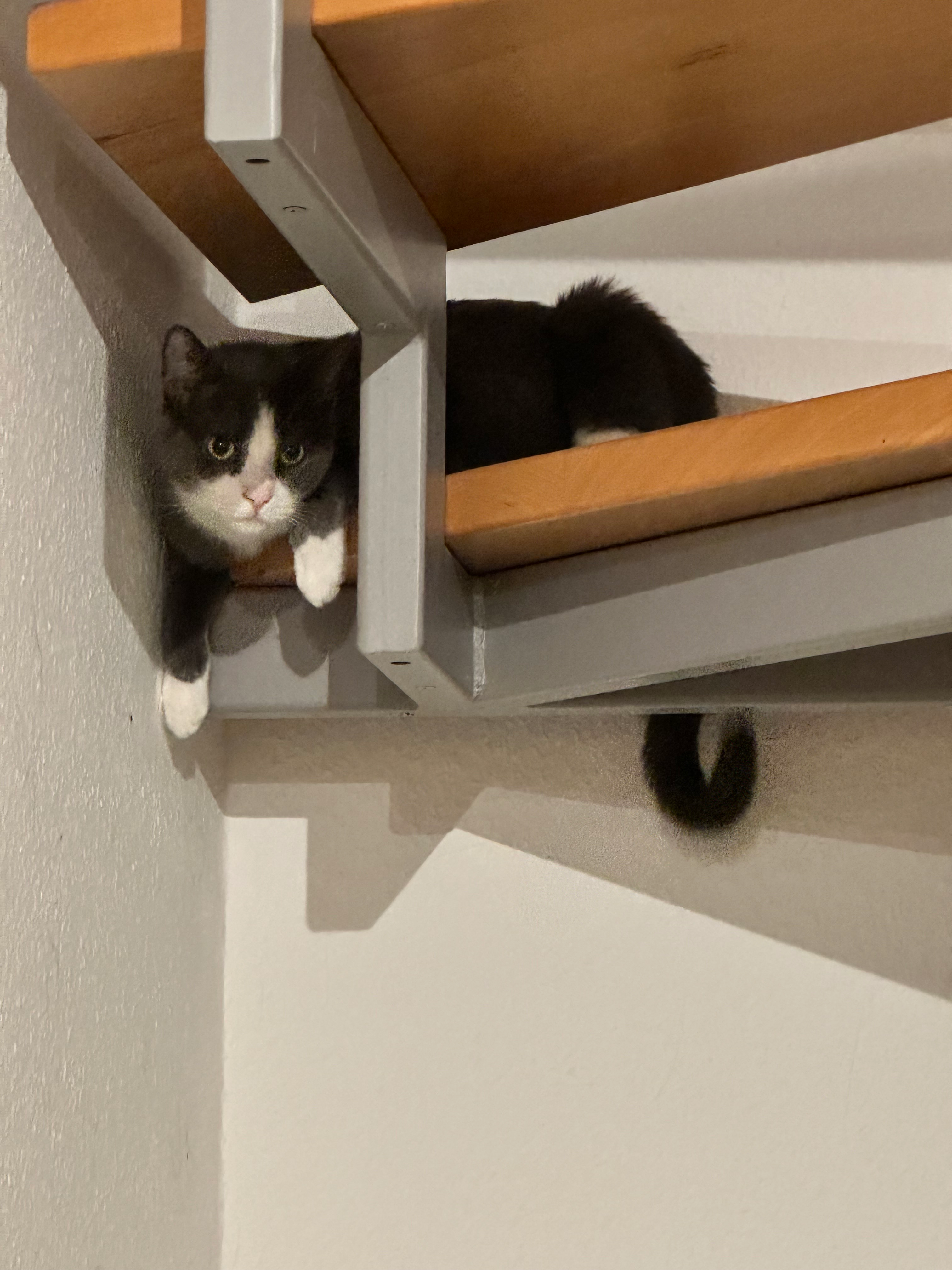 user avatar image for Theologicus