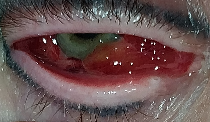 user avatar image for David Buffum