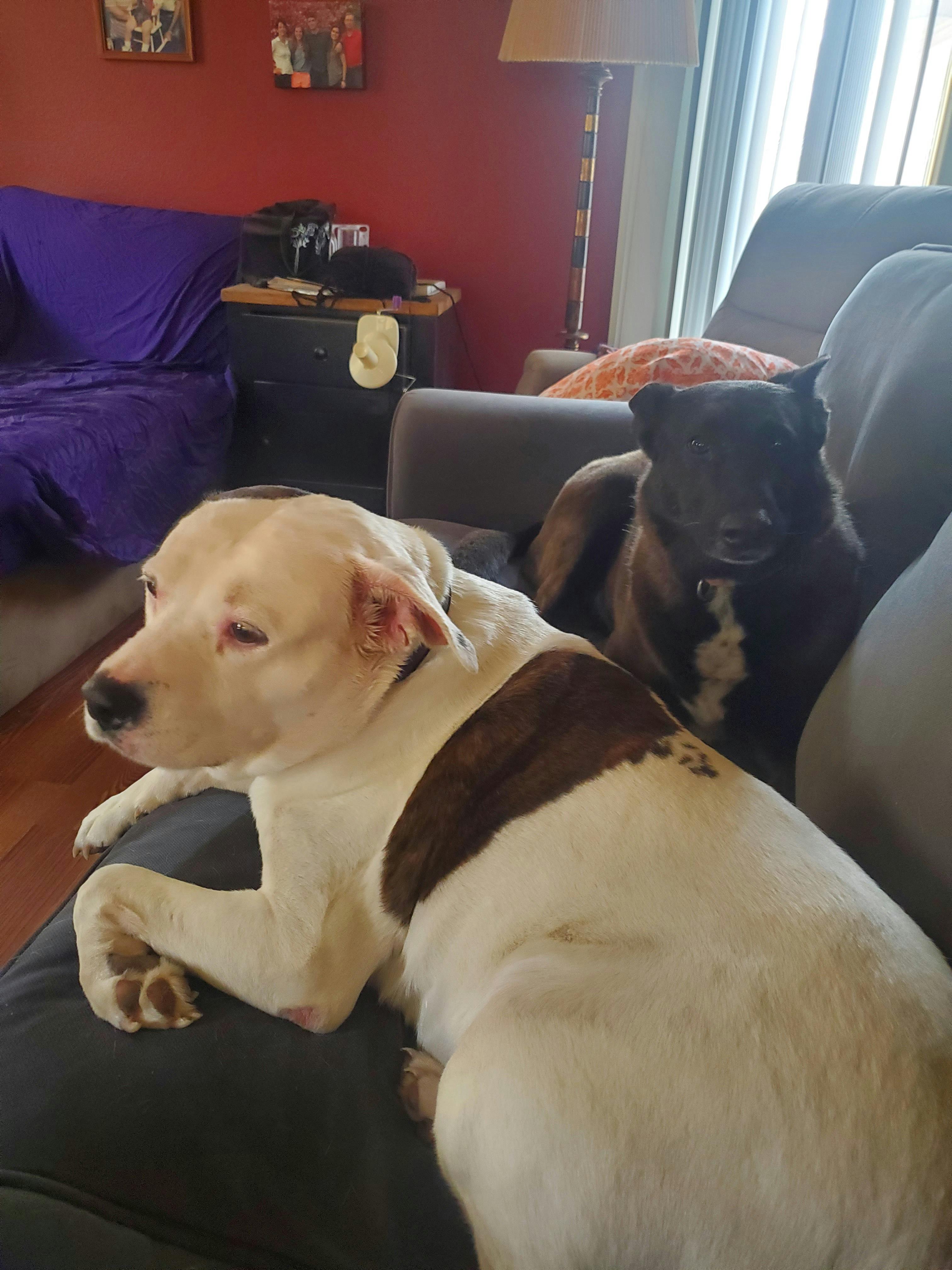 user avatar image for Larry Determan