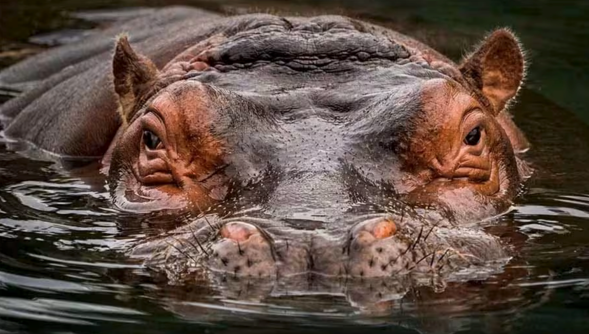 user avatar image for WarBuddha