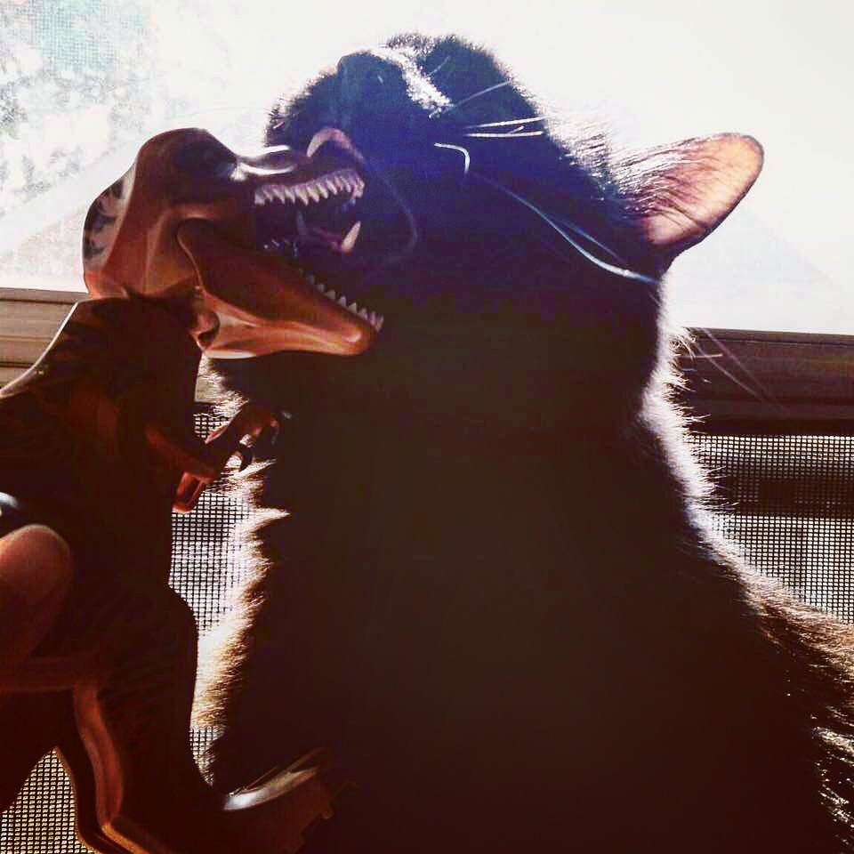 user avatar image for Bethany M.