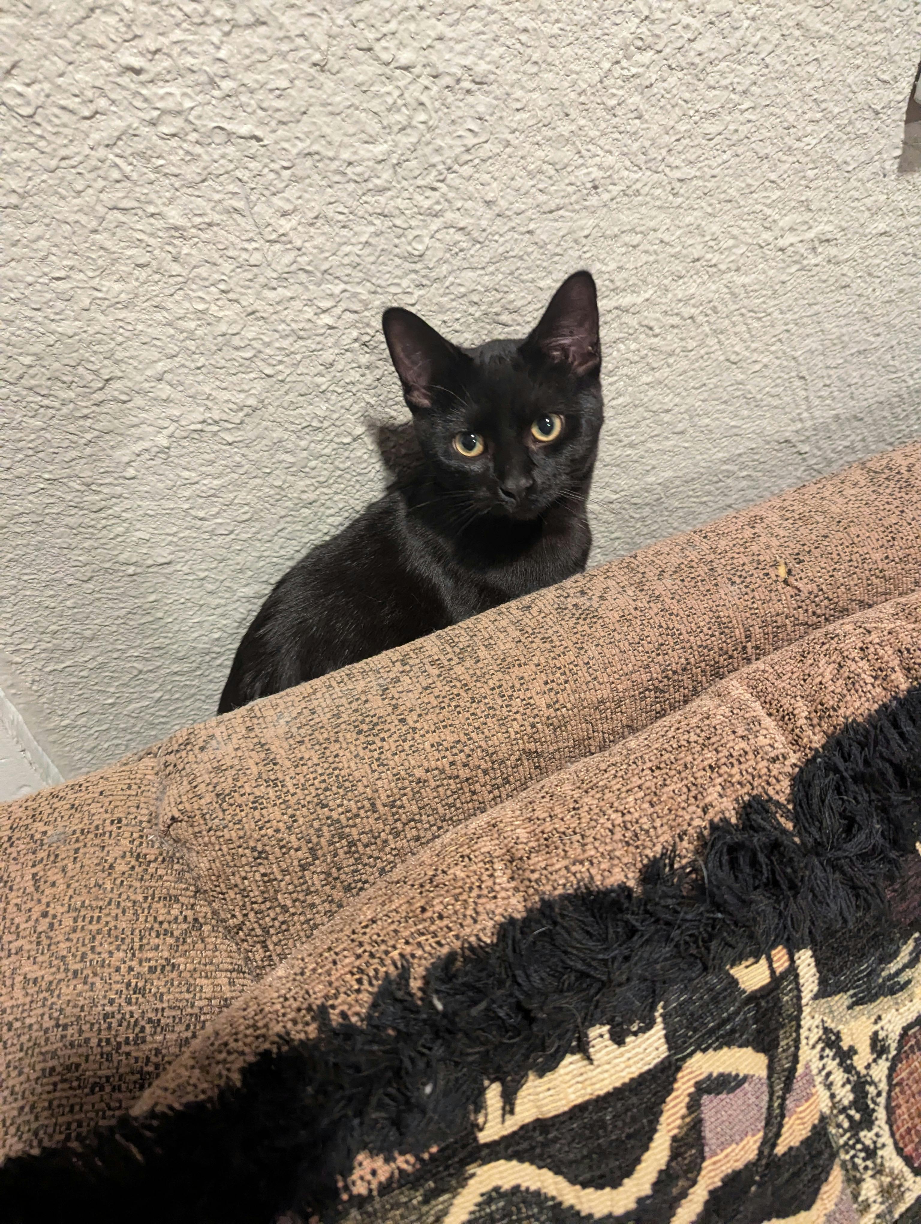 user avatar image for IrishYooper