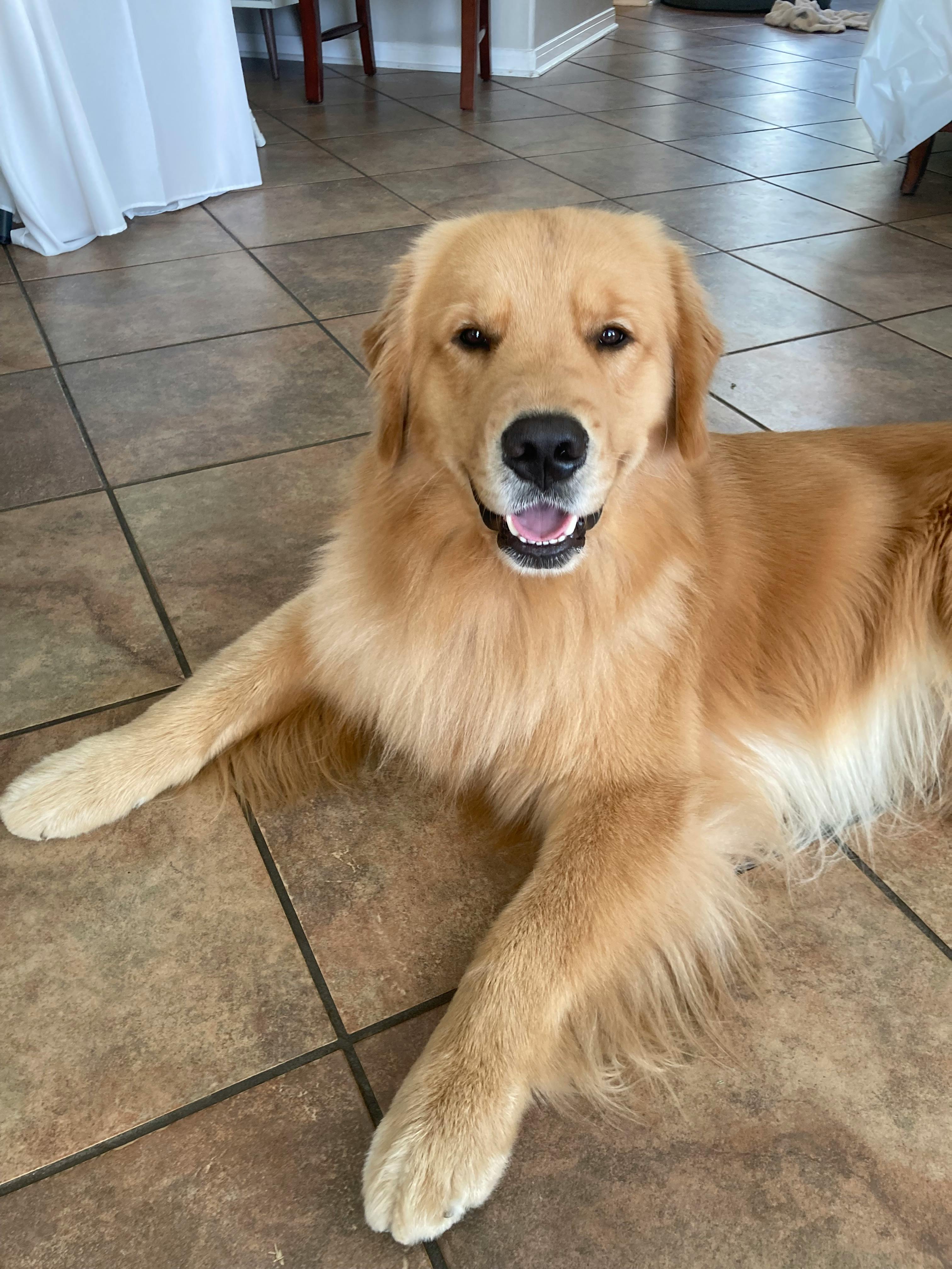 user avatar image for Emily Walker