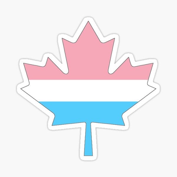 user avatar image for Alyssa Gambone