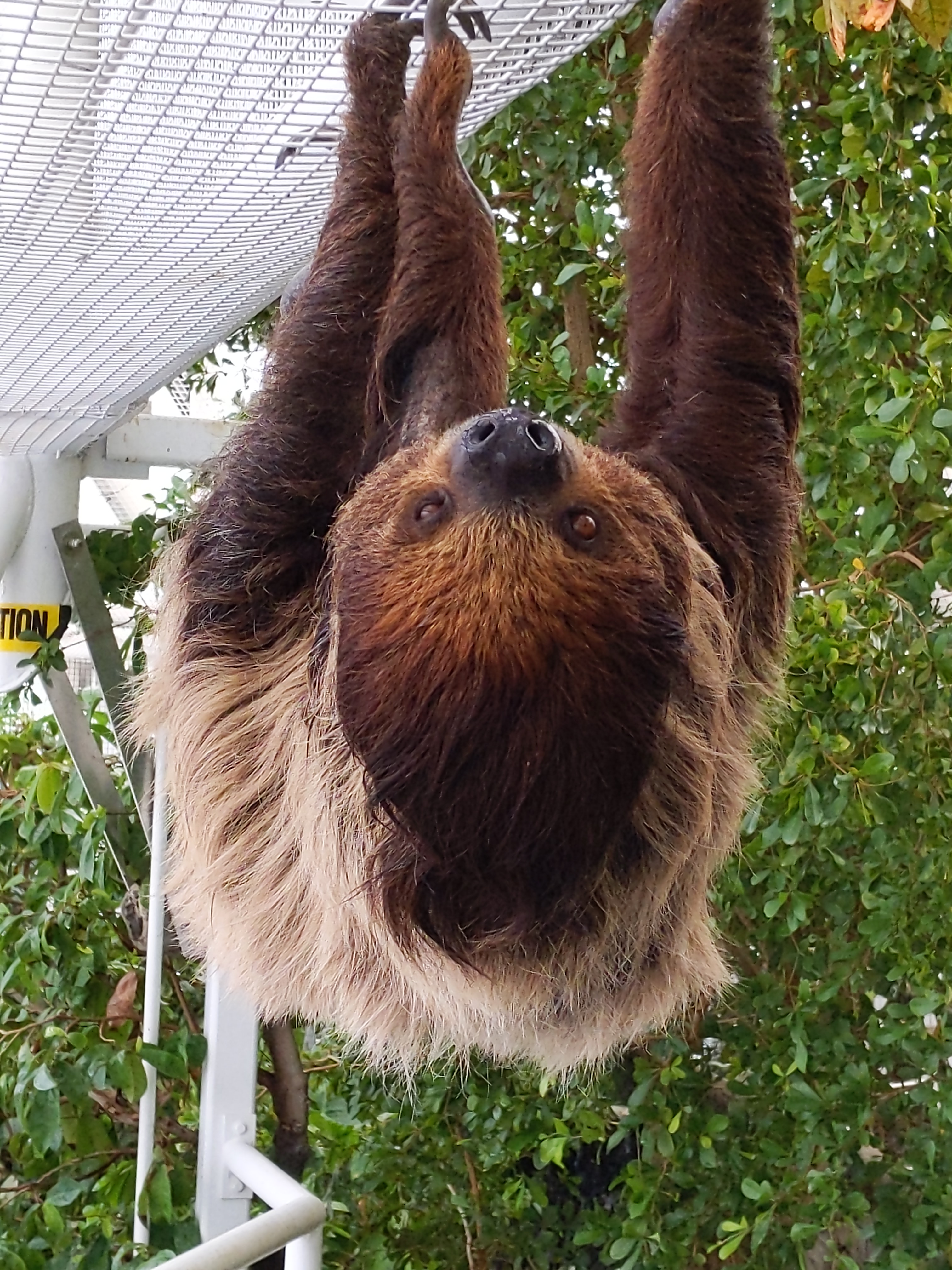 user avatar image for Steven L