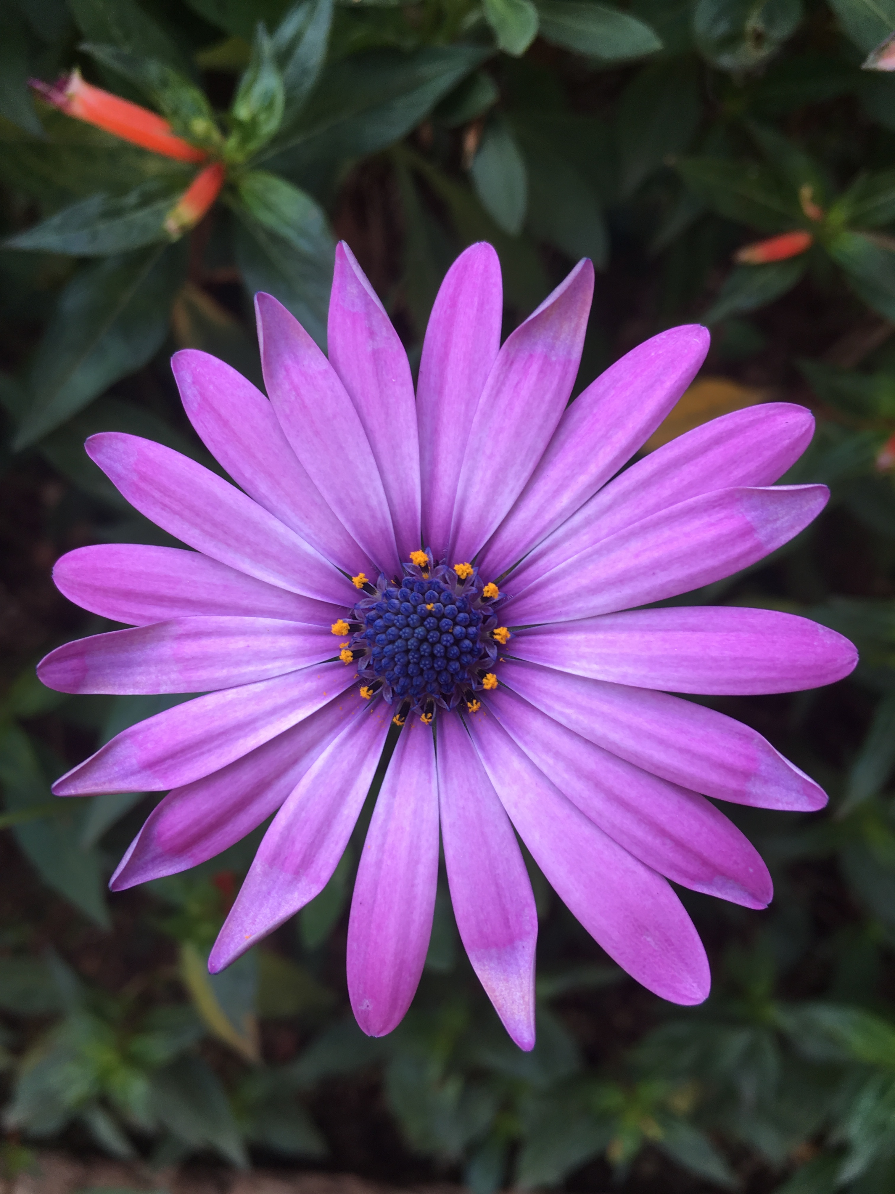 user avatar image for Jessica 