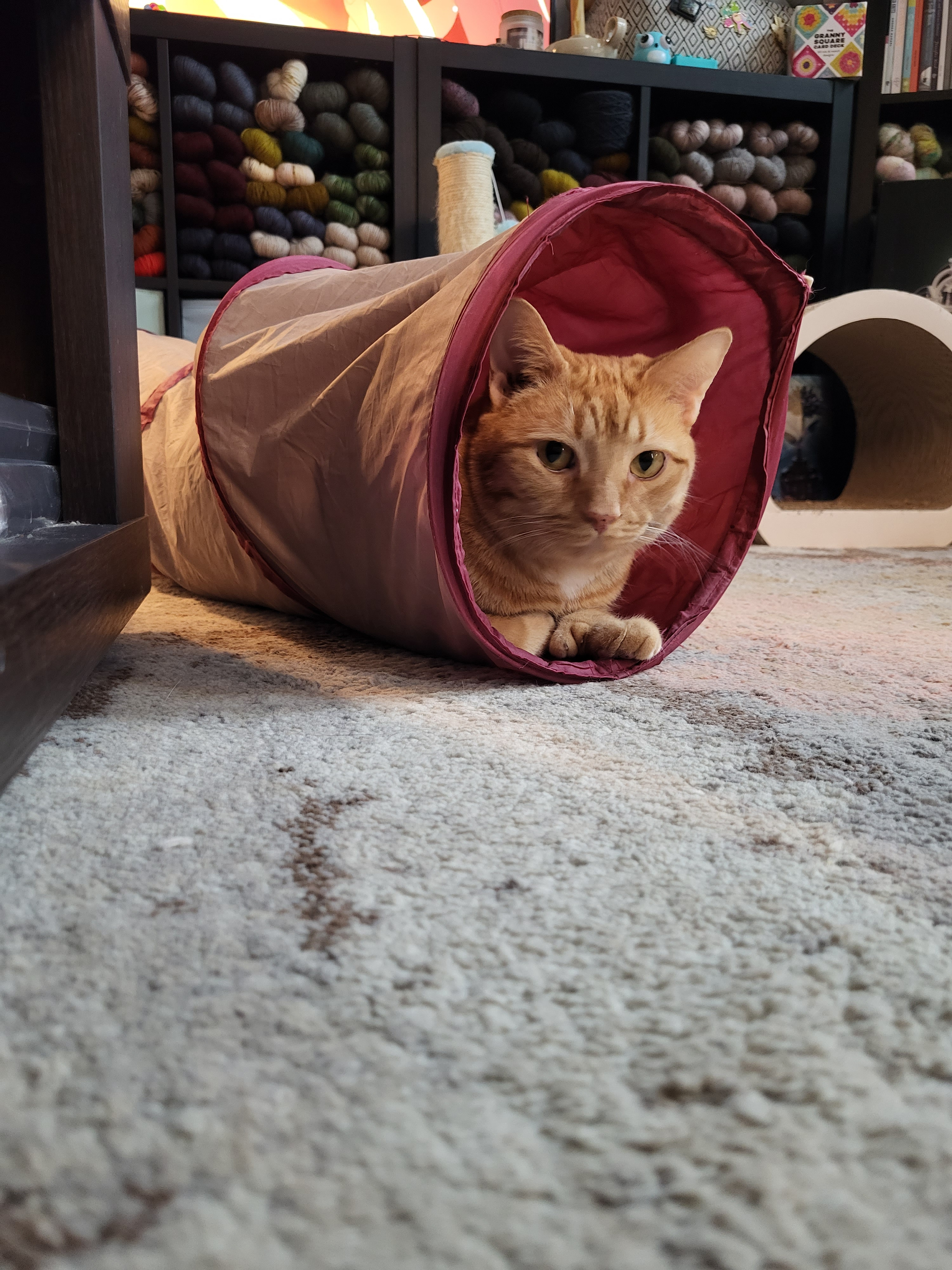 user avatar image for Maddy