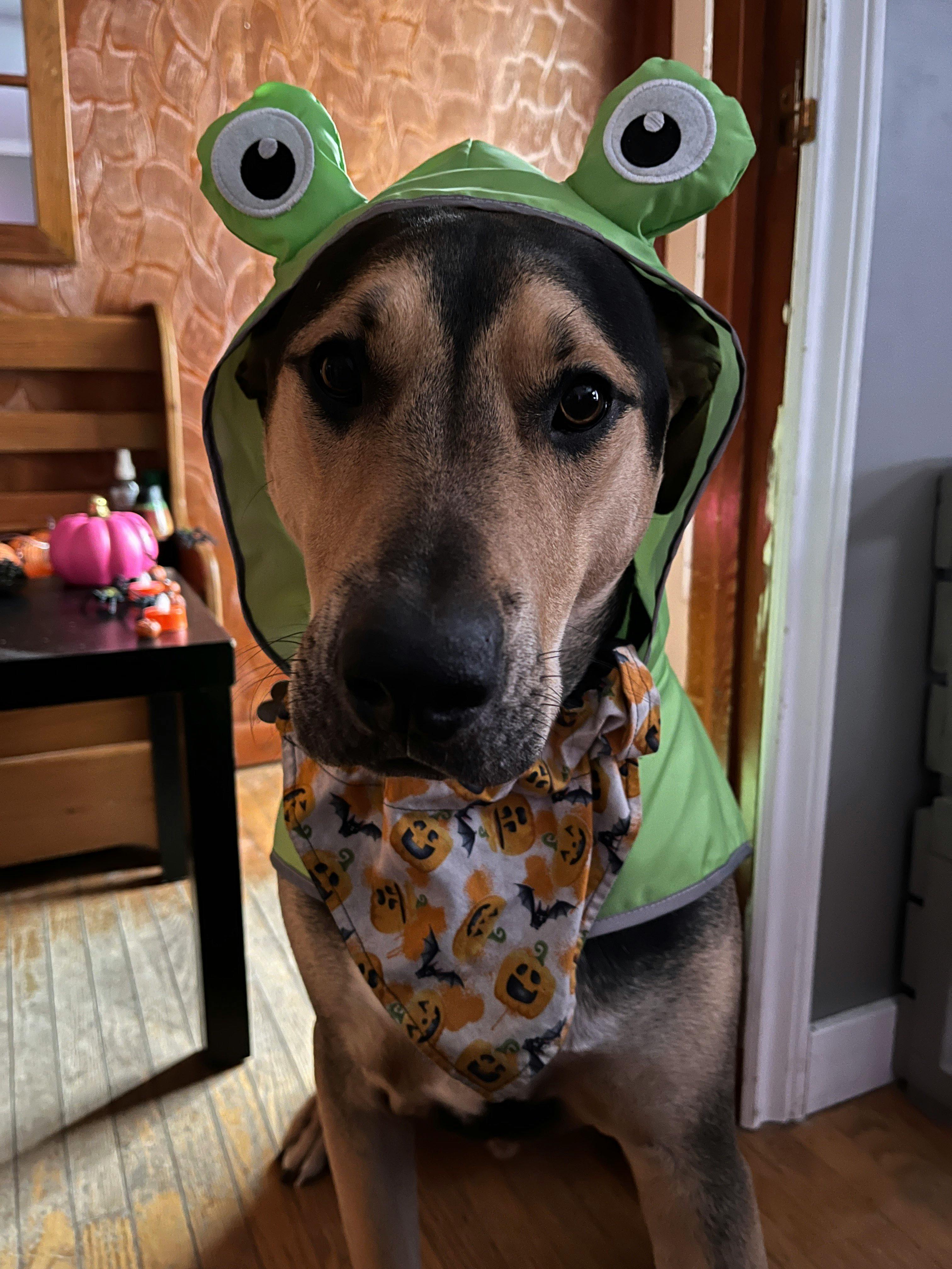 user avatar image for Mandi Lynn