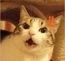 user avatar image for Law