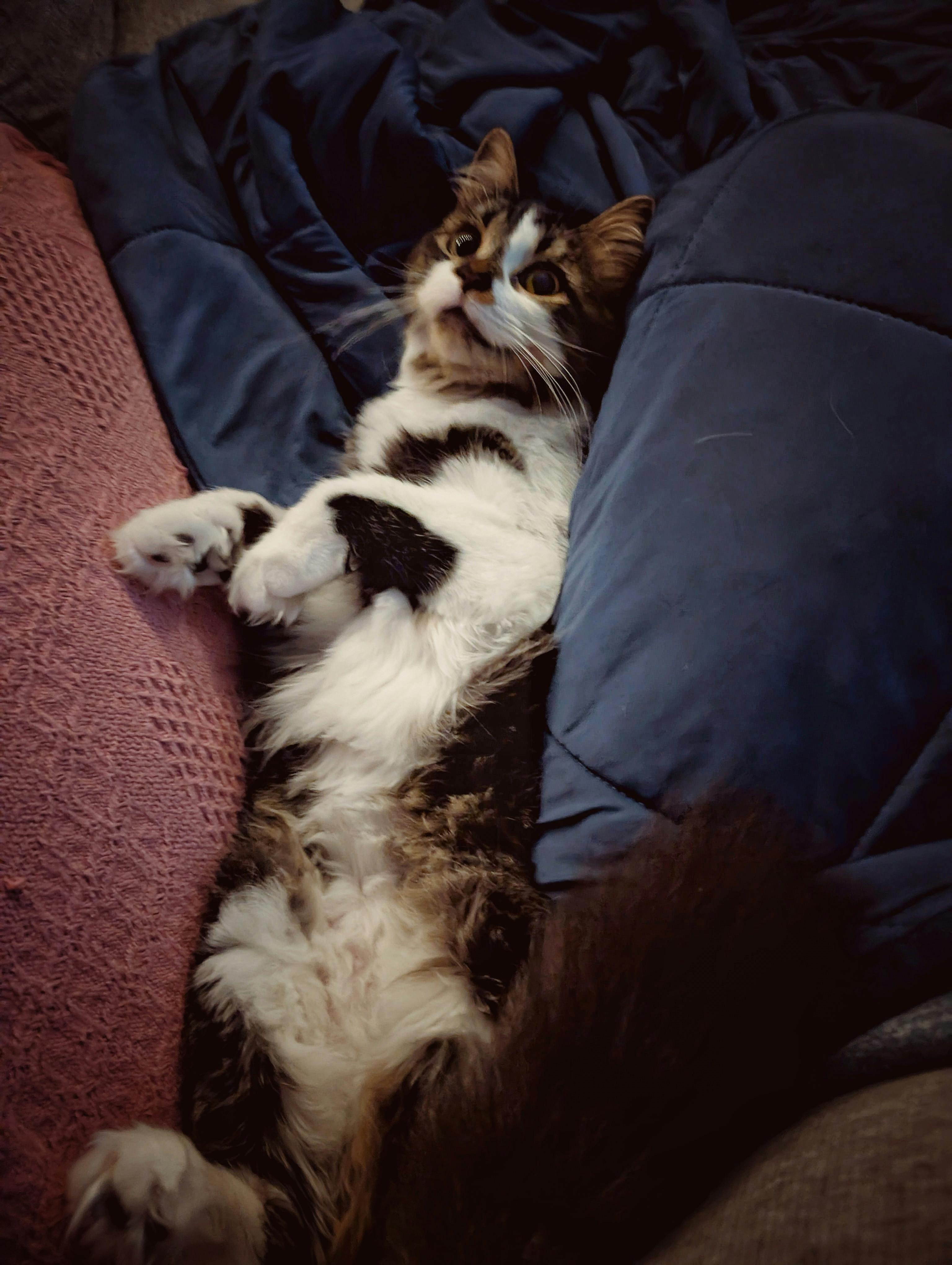 user avatar image for Kim