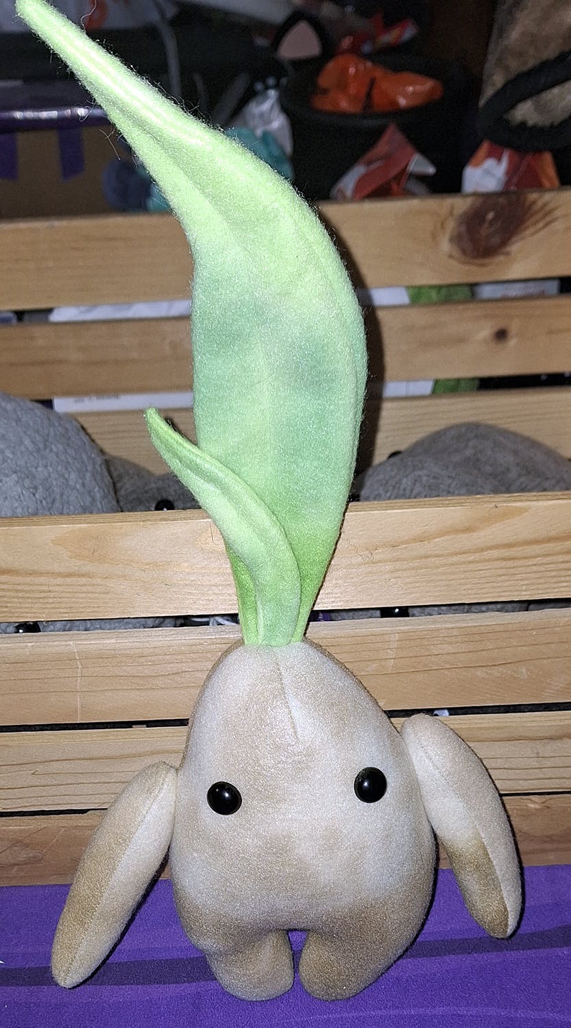 Mandrake - Giant Leaf - Medium Size