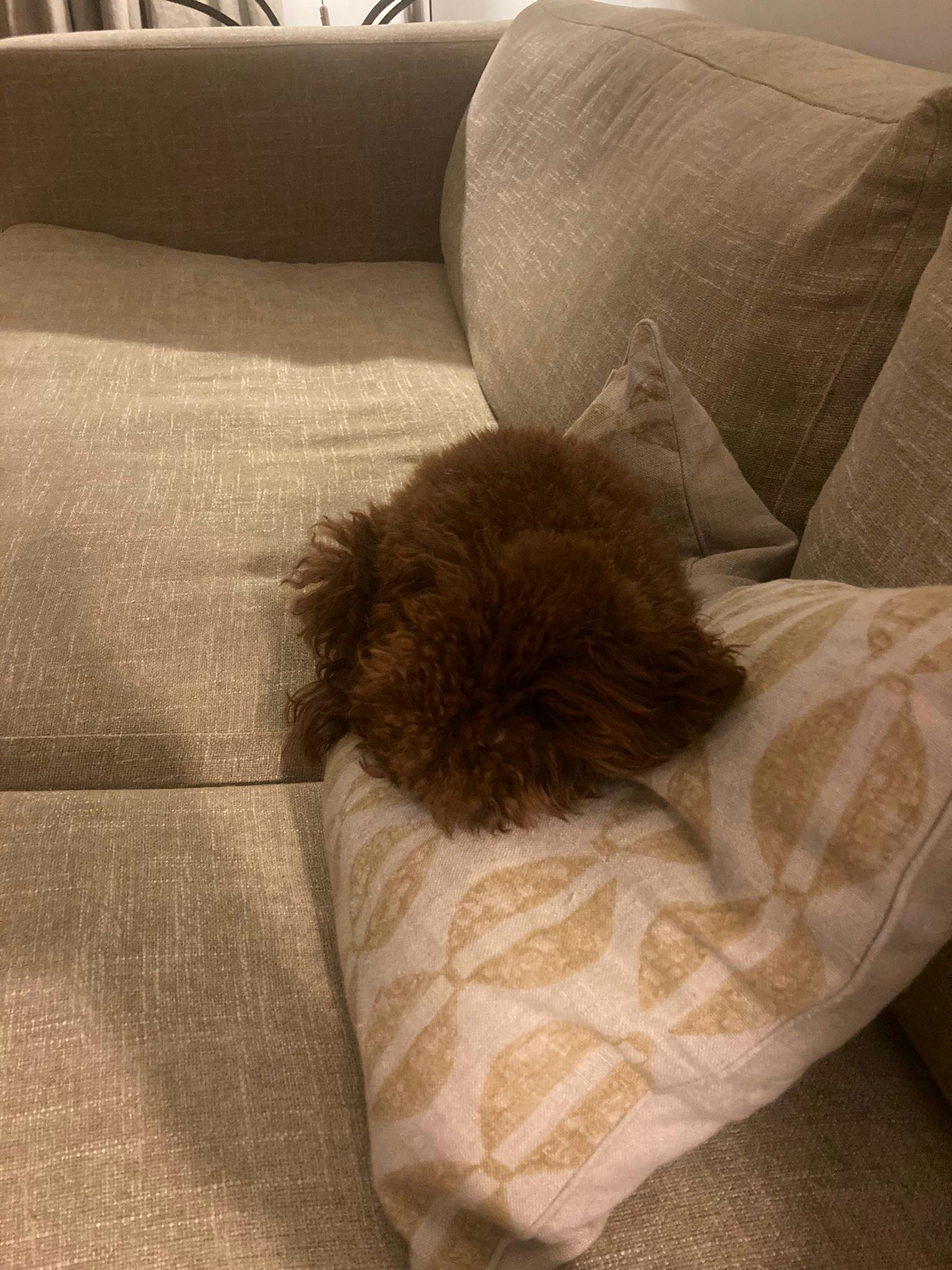 user avatar image for Lazp1