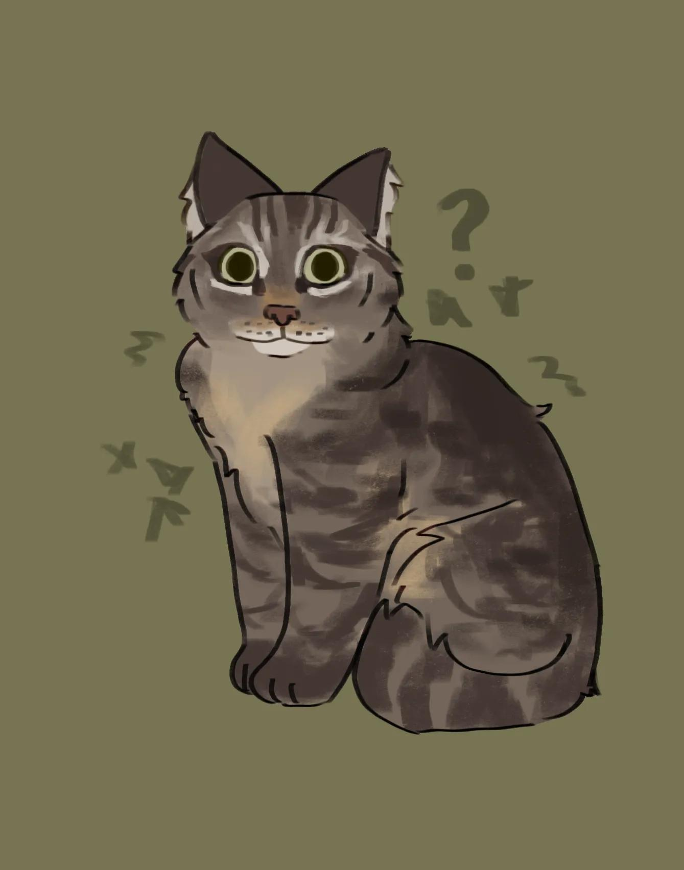 user avatar image for Kyle Straub 