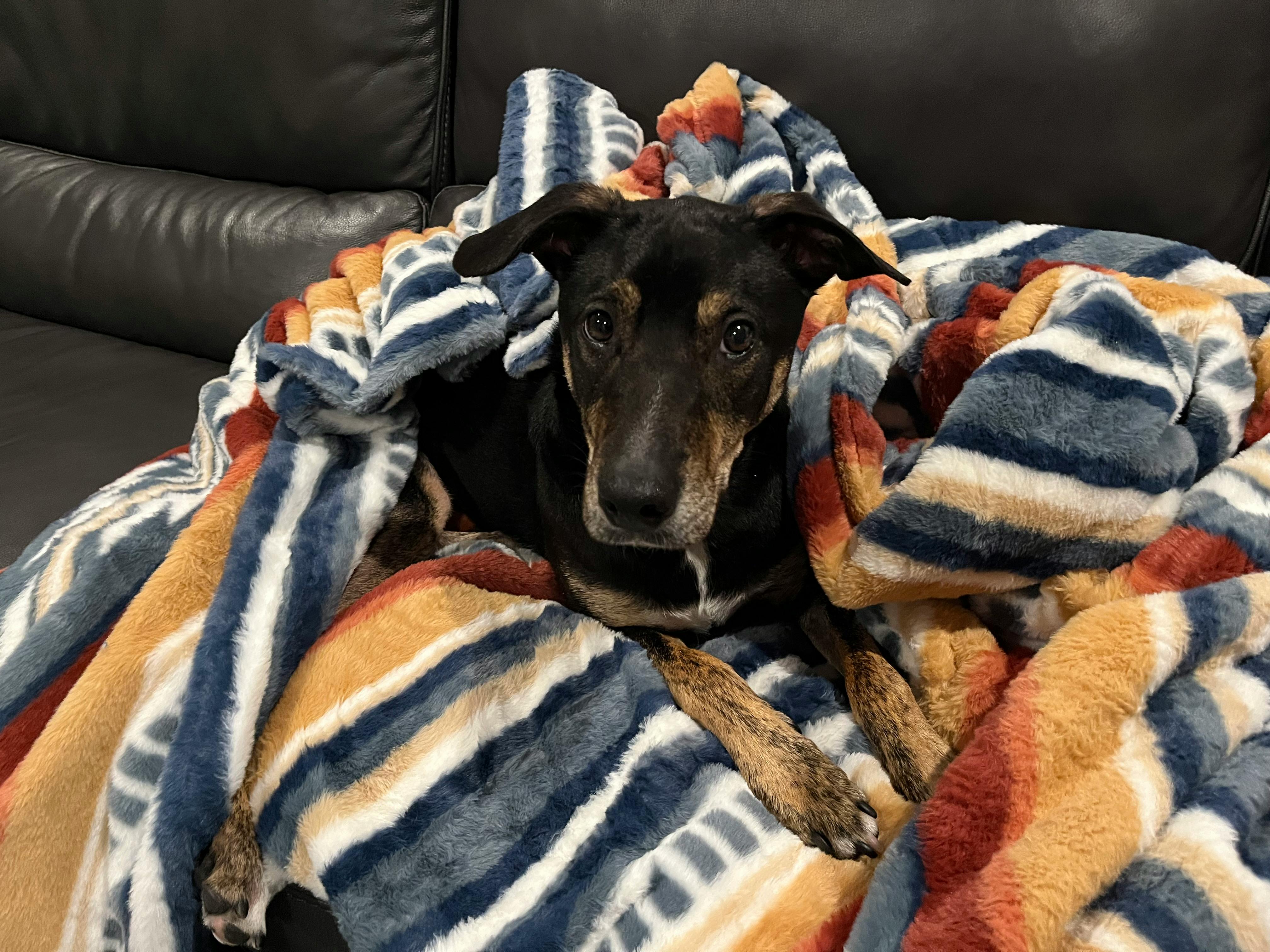 user avatar image for Chilan